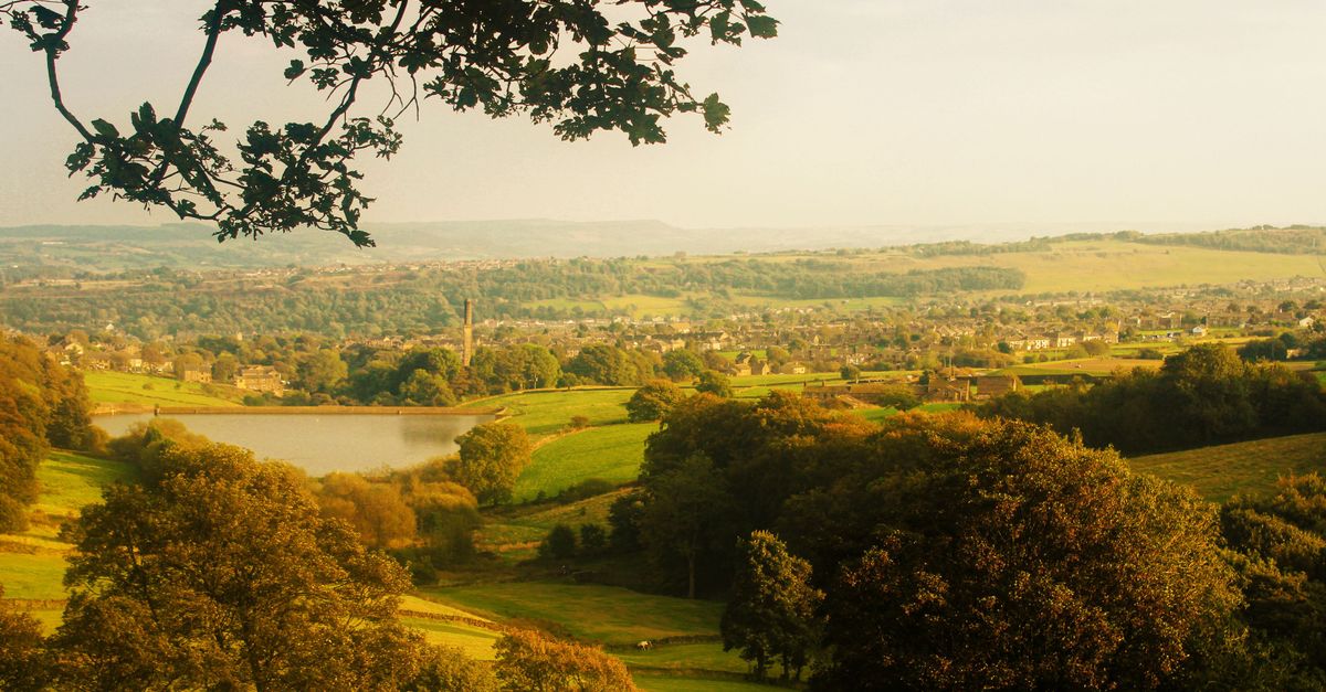 Picturesque landscape of English countryside with lush greenery and a serene lake.
