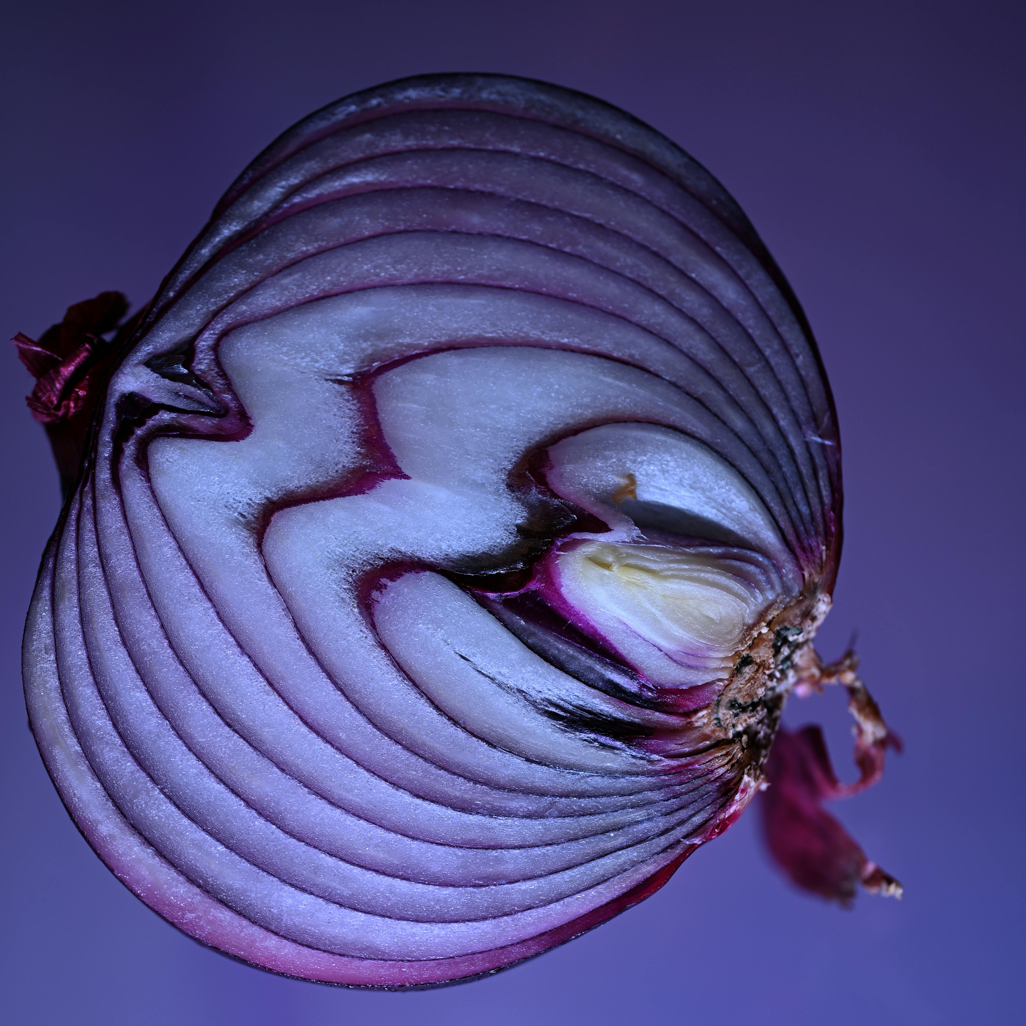 Red Onion Lacto-Ferment