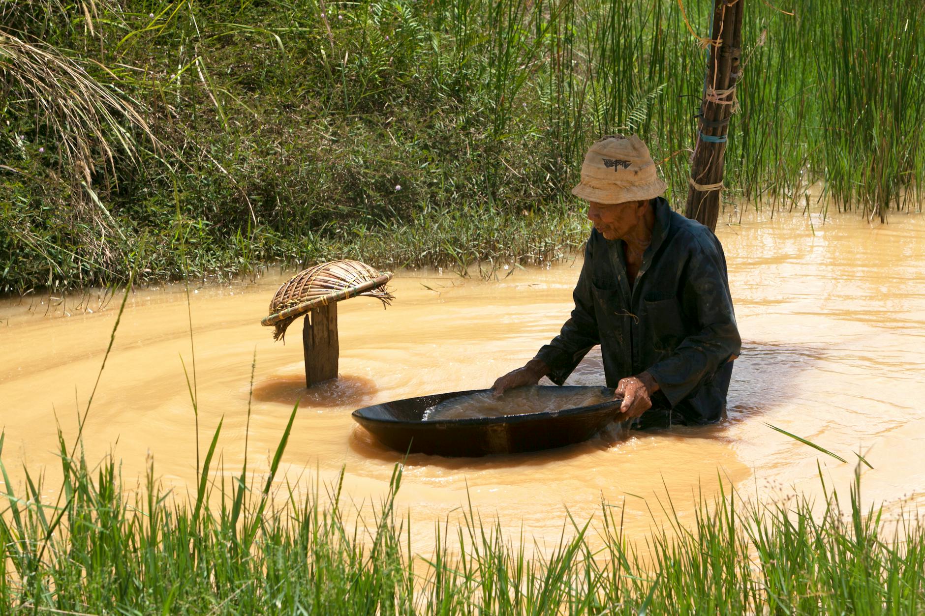 An adult man is traditionally panning for gold in a rural, muddy waterway surrounded by greenery.