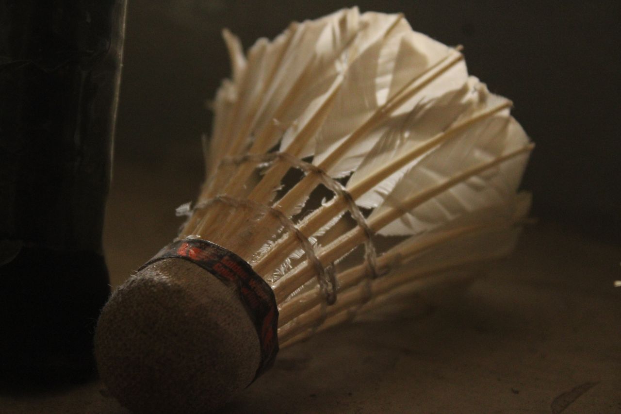 detailed view of a feathered shuttlecock used in badminton lying on th