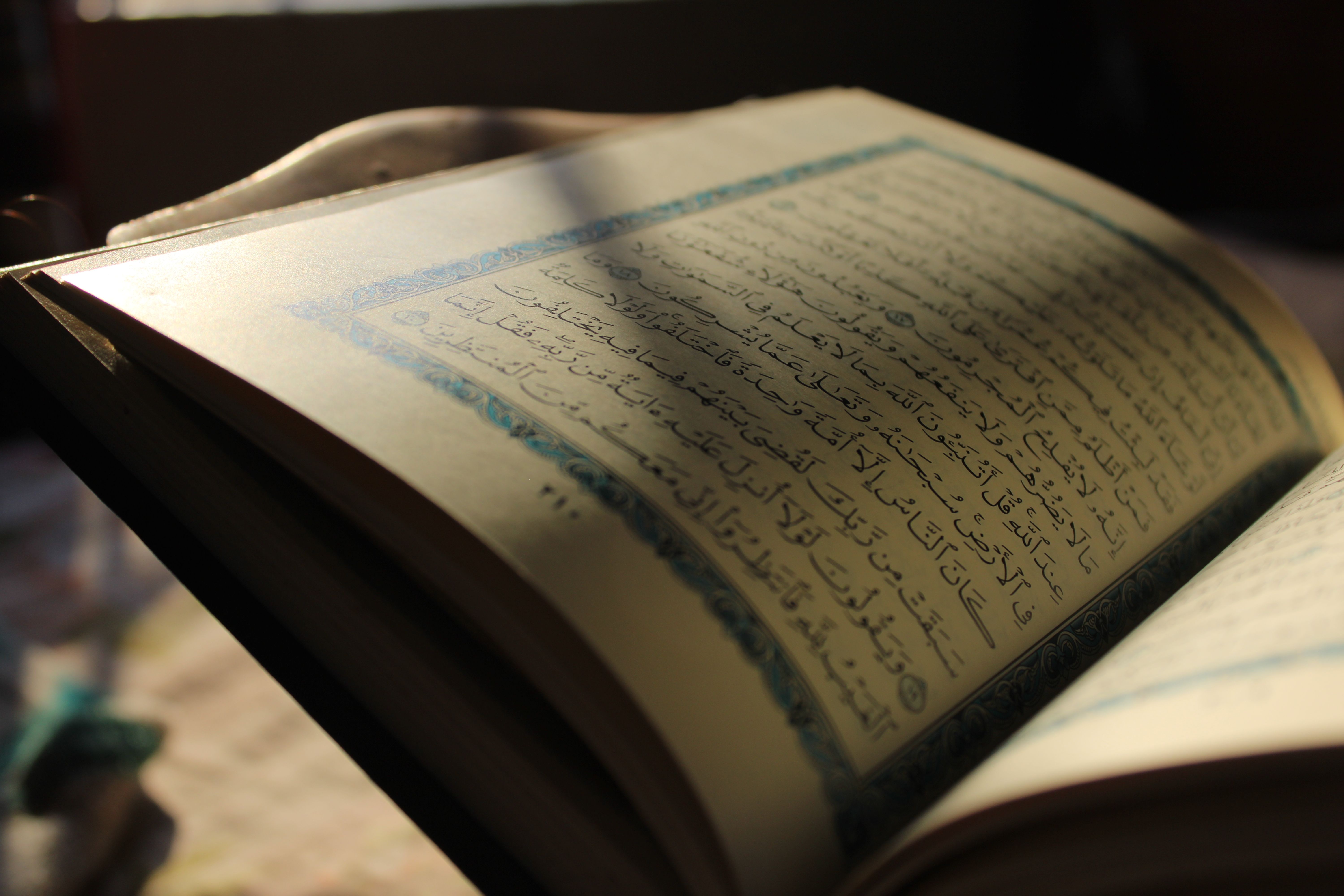 A Glimpse of Jannah: Practical Steps and Spiritual Aspirations for Attaining Paradise in This Life