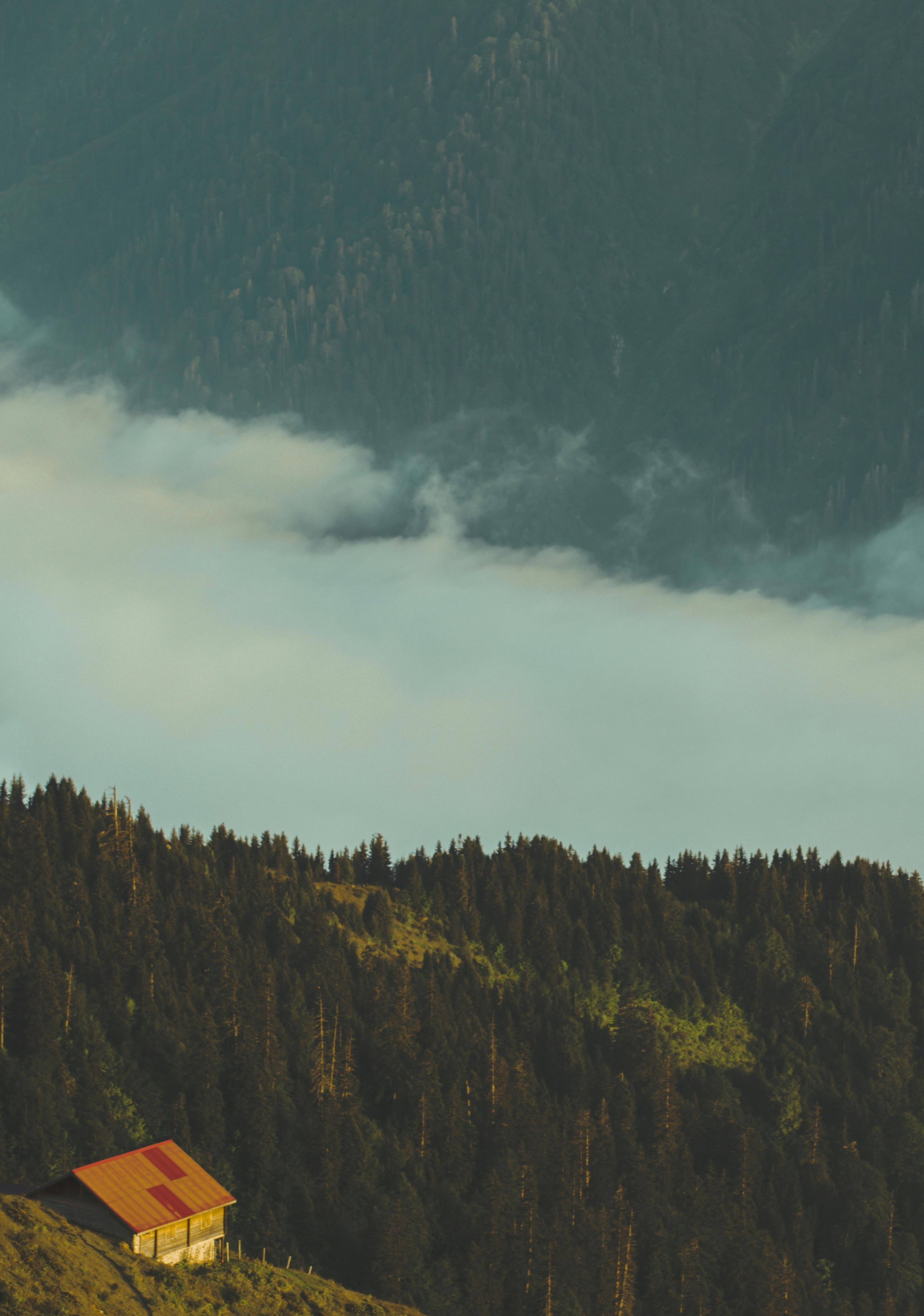 Gratuit O cabană solitară pe un munte, înconjurată de păduri acoperite de ceață, creează o atmosferă liniștită. Fotografie de stoc