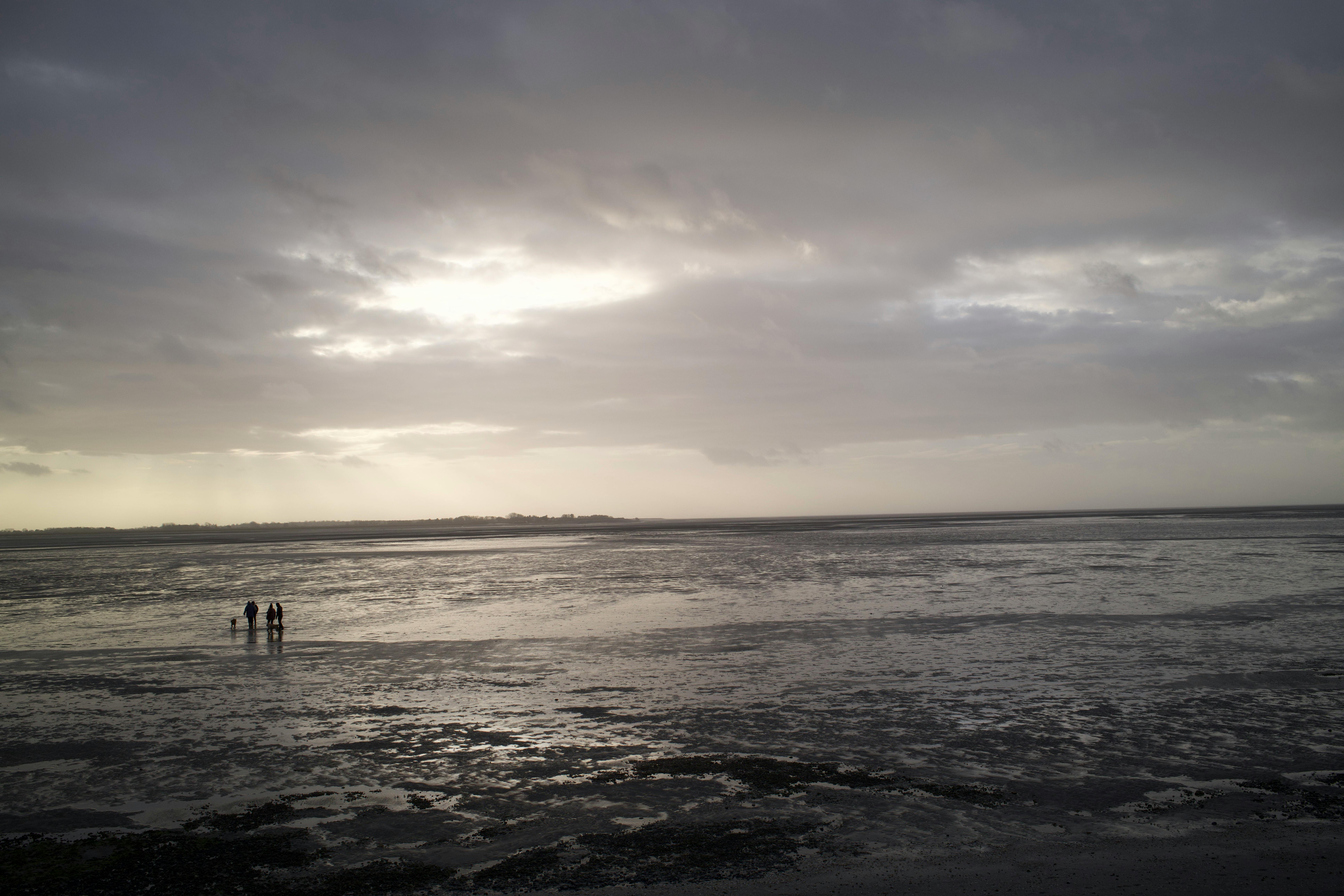 bezplatná Lidé procházející se podél pobřeží při odlivu pod dramatickou oblohou. Základová fotografie