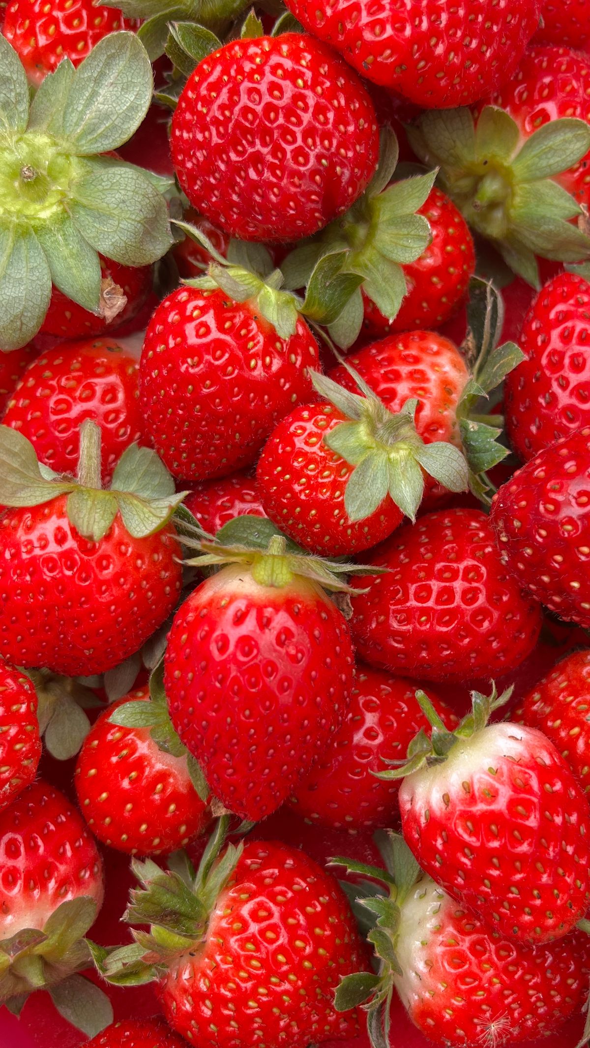 Close Up Photo of Strawberries · Free Stock Photo