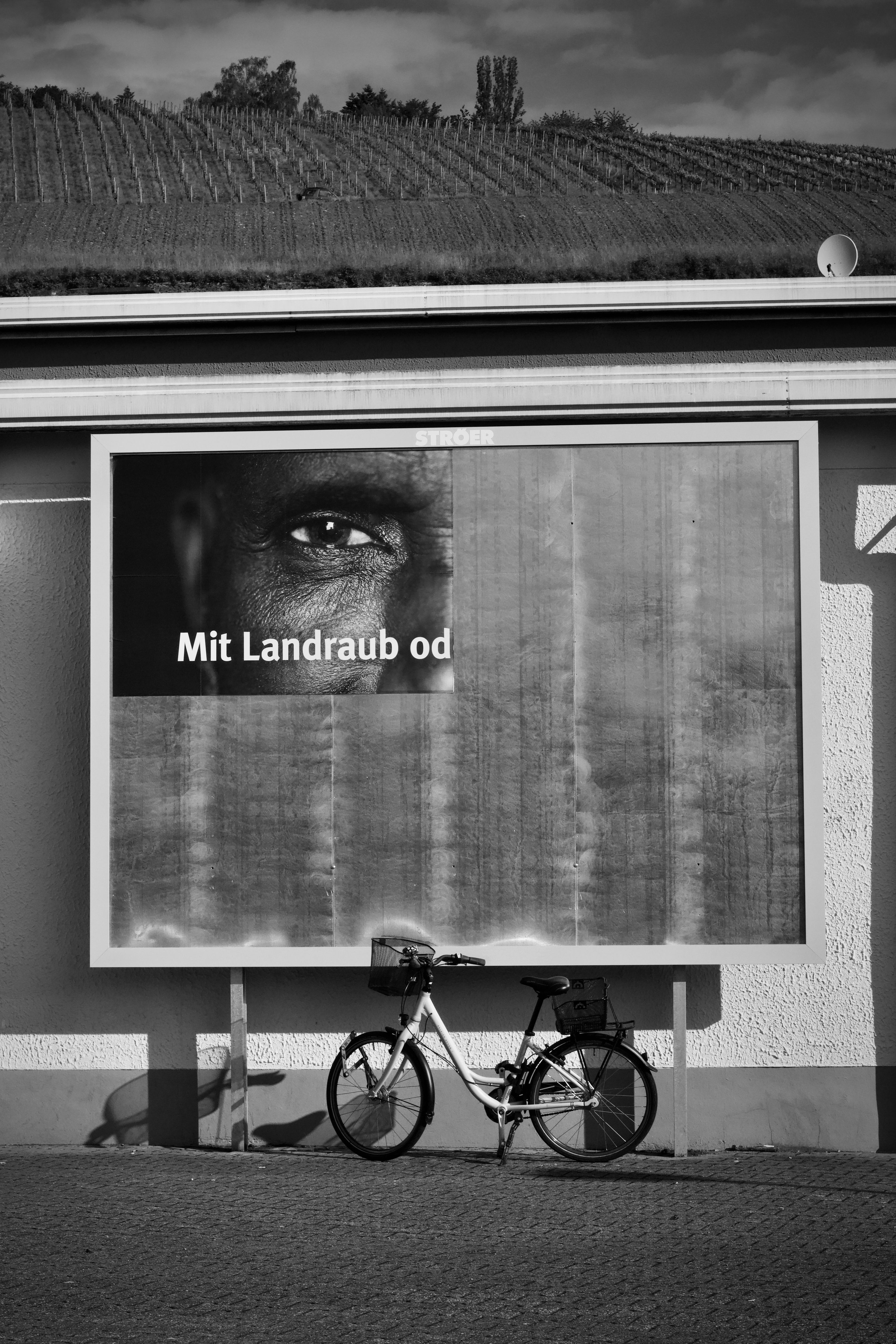 A monochrome photo of a bicycle parked against a wall featuring a large poster and vineyard backdrop.