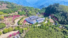 Aerial View of Scenic Asian Landscape with Traditional Architecture