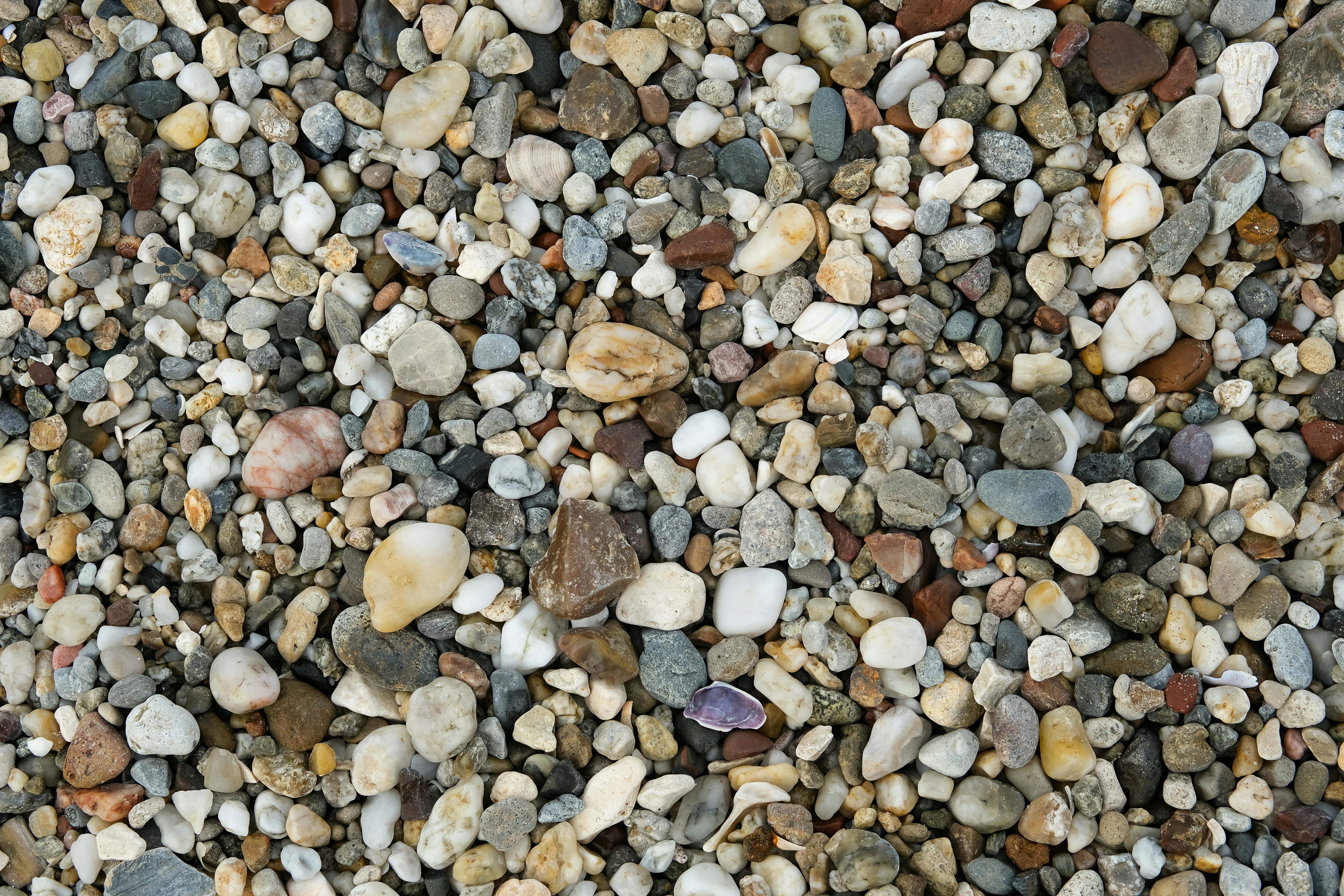 Miễn phí Ảnh lưu trữ miễn phí về @ngoài trời, bề mặt, bờ biển Ảnh lưu trữ