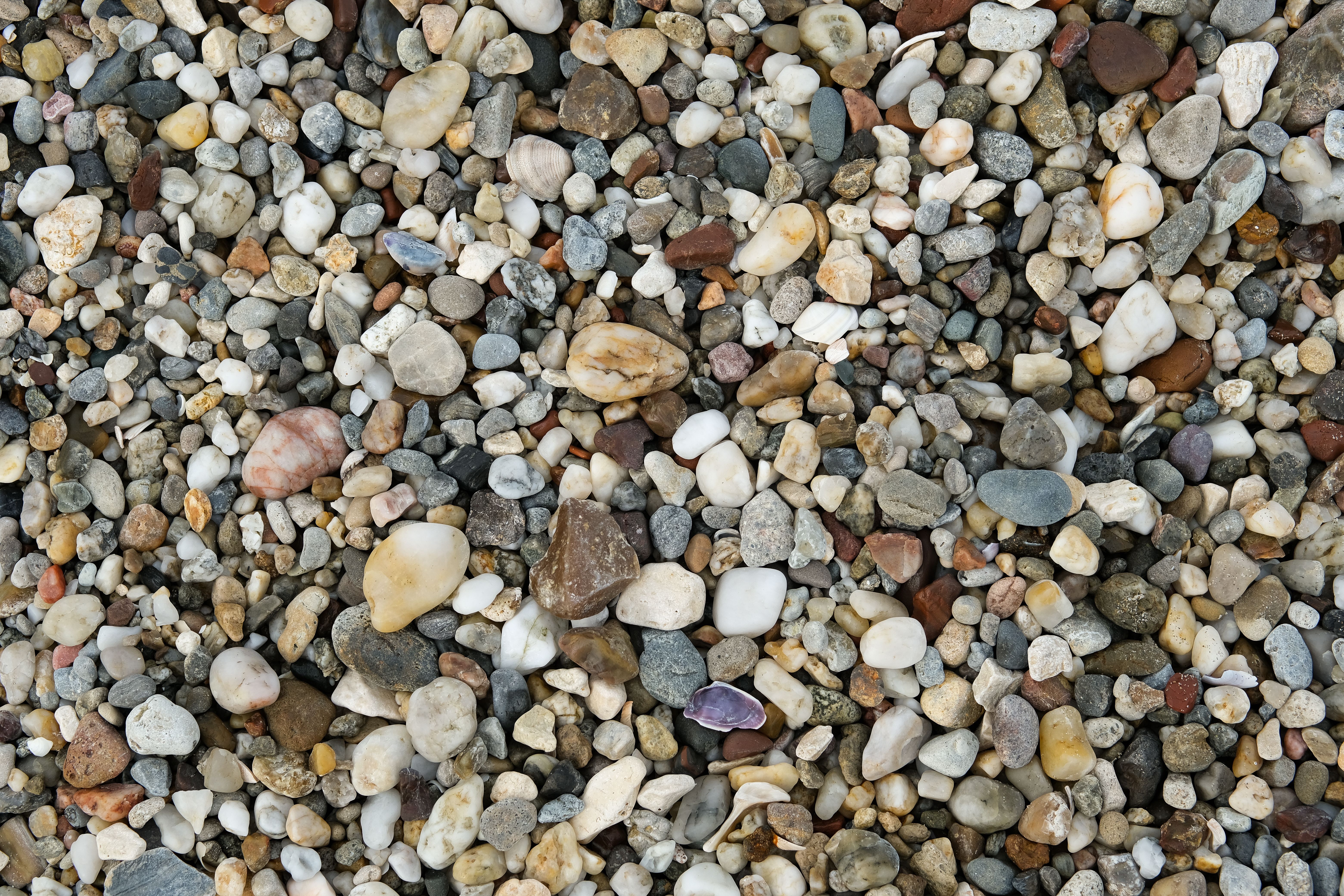 Natural Pebbles and Stones Texture Background · Free Stock Photo
