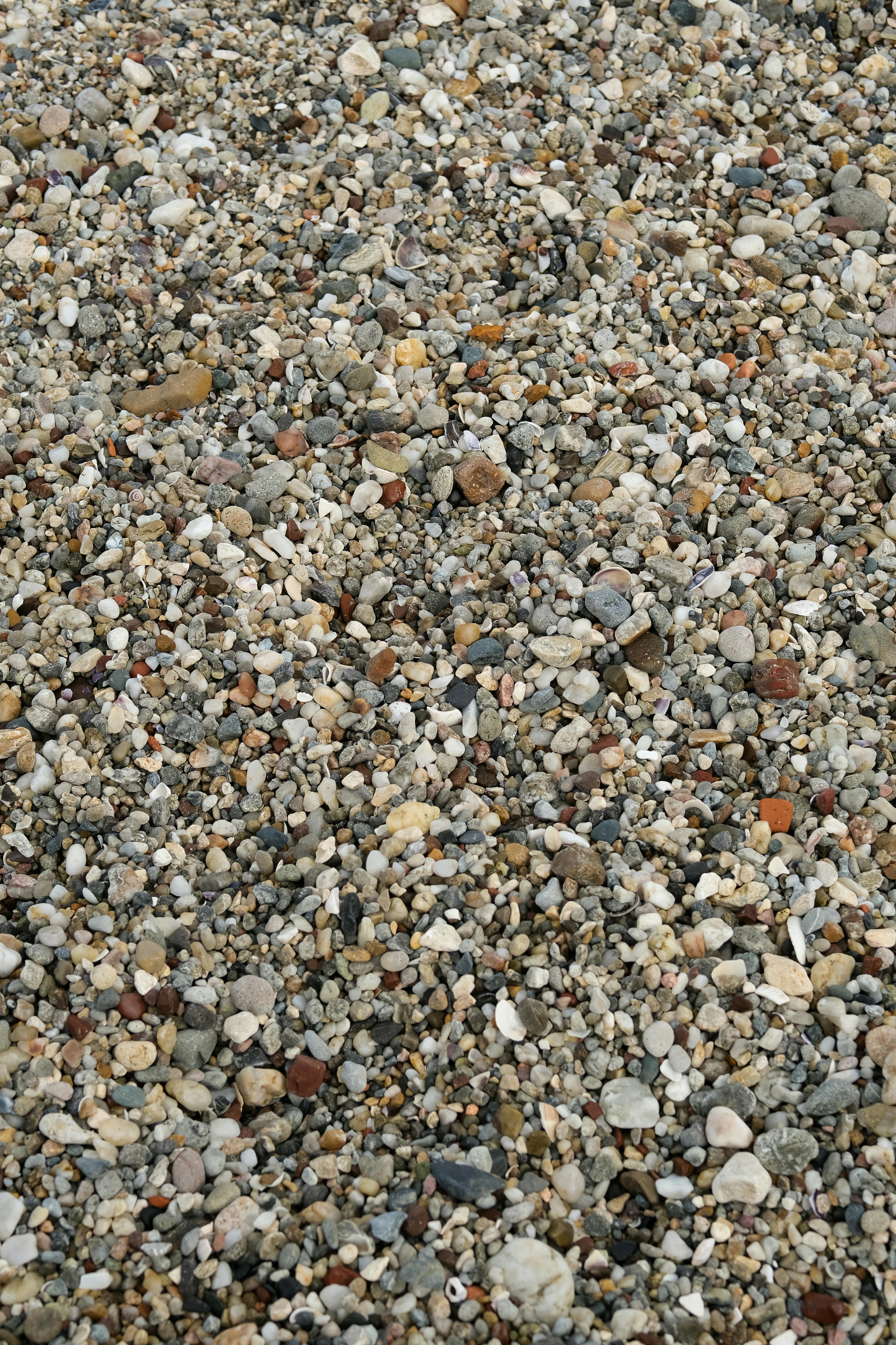 gratis Gedetailleerde afbeelding van veelkleurige kiezels en stenen op een strandoppervlak. Stockfoto