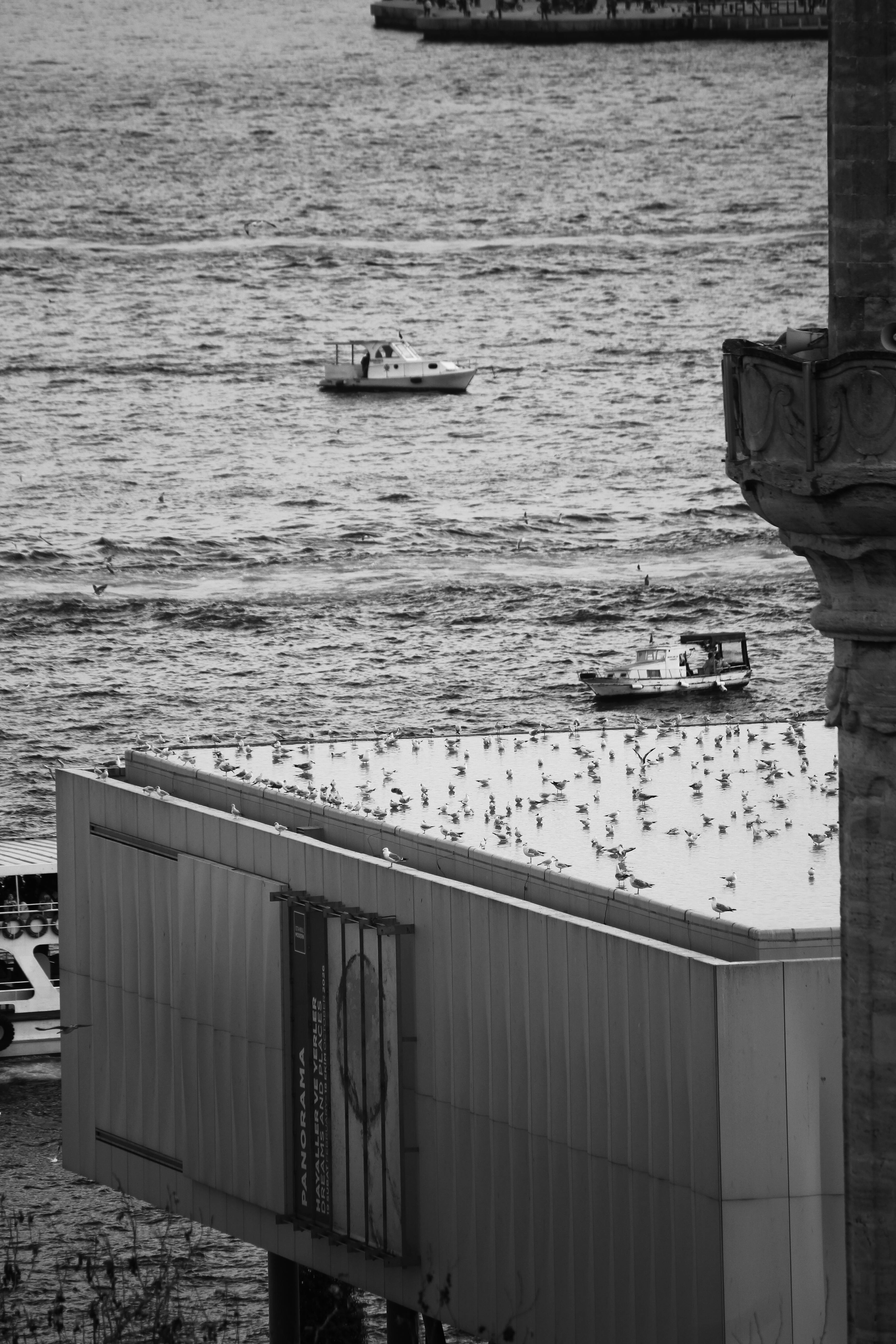 bezplatná Základová fotografie zdarma na téma architektura, Asie, černobílý Základová fotografie