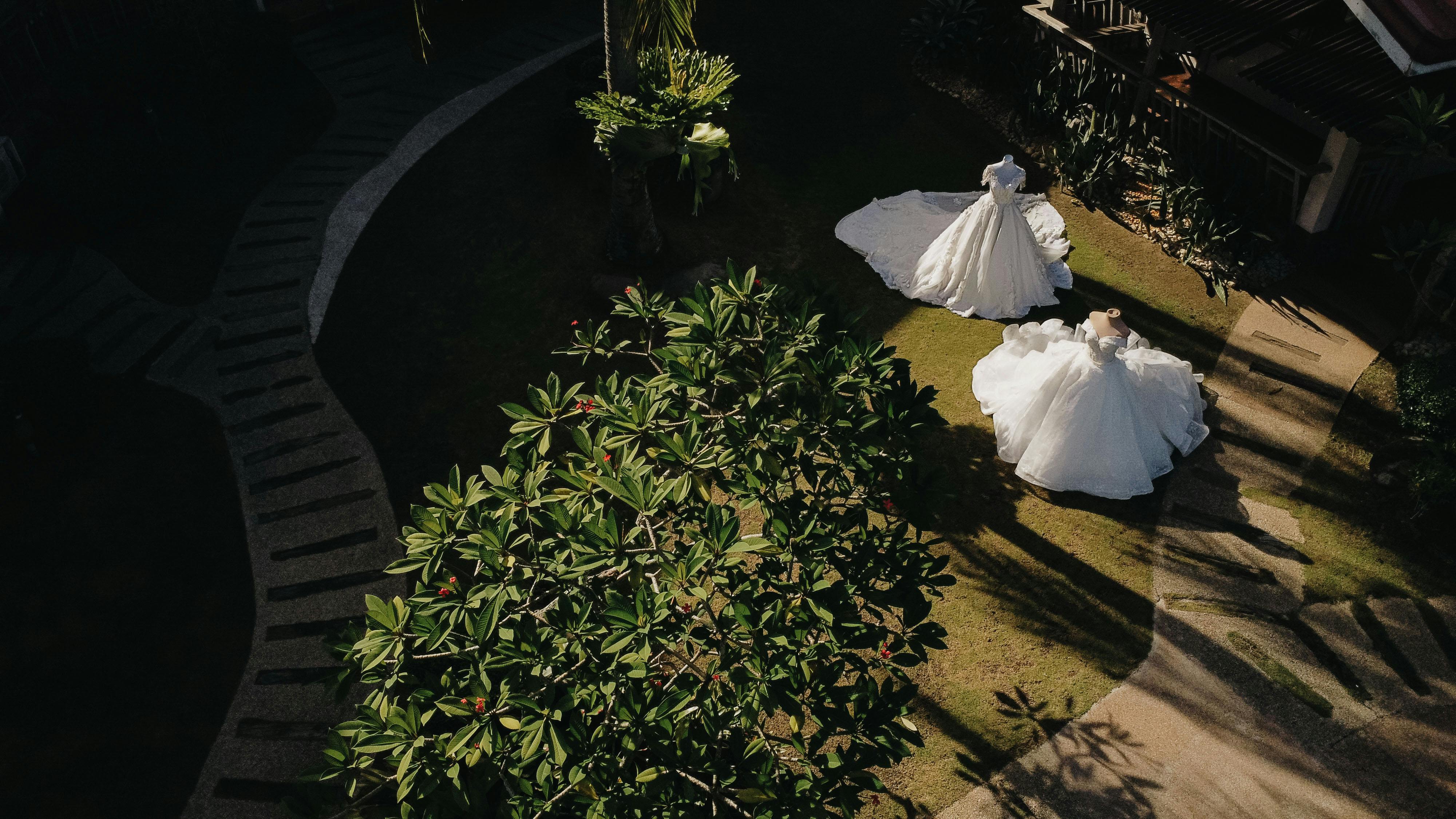 ingyenes Légi felvétel két próbababáról elegáns menyasszonyi ruhában egy napsütötte kerti gyepen. Stockfotó