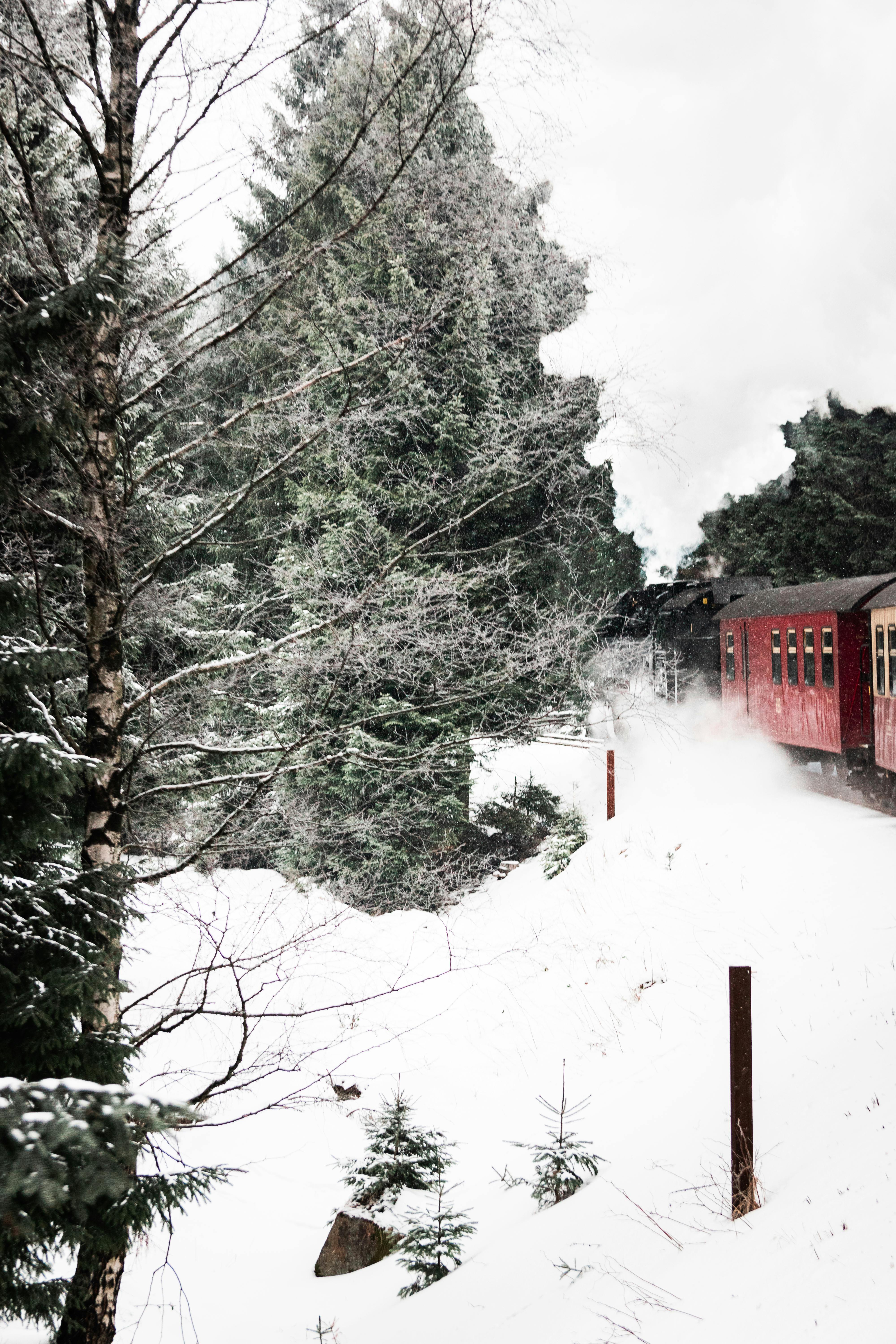 Gratis Un nostalgico treno rosso attraversa una foresta innevata, evocando il fascino e l'avventura invernali. Foto a disposizione