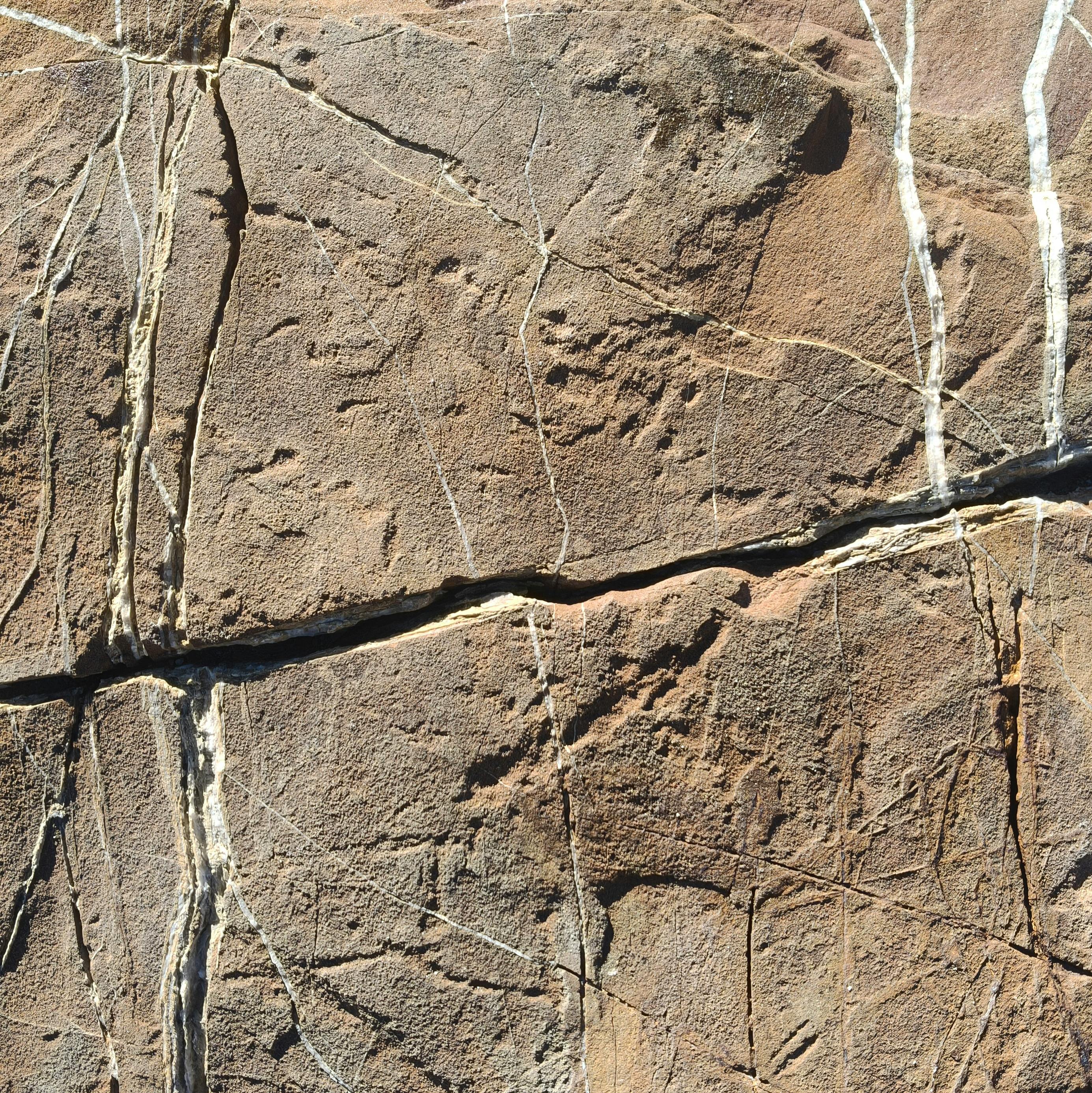 Ücretsiz Belirgin damarlar içeren, dokulu ve çatlaklı kaya yüzeyinin detaylı görünümü. Stok Fotoğraflar