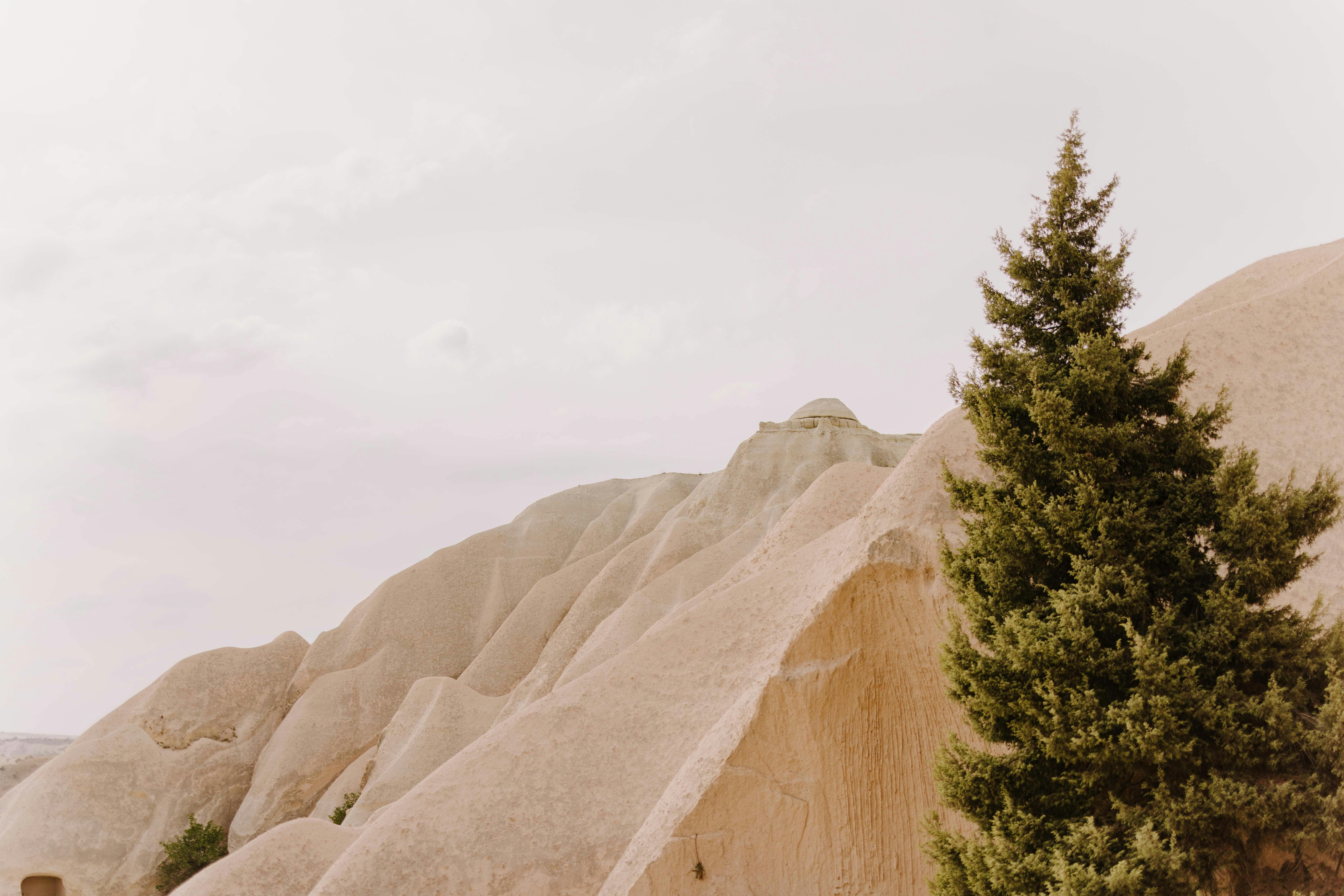 Gratis Explora las formaciones rocosas únicas de Capadocia, Turquía, con un árbol solitario y un horizonte expansivo. Foto de stock