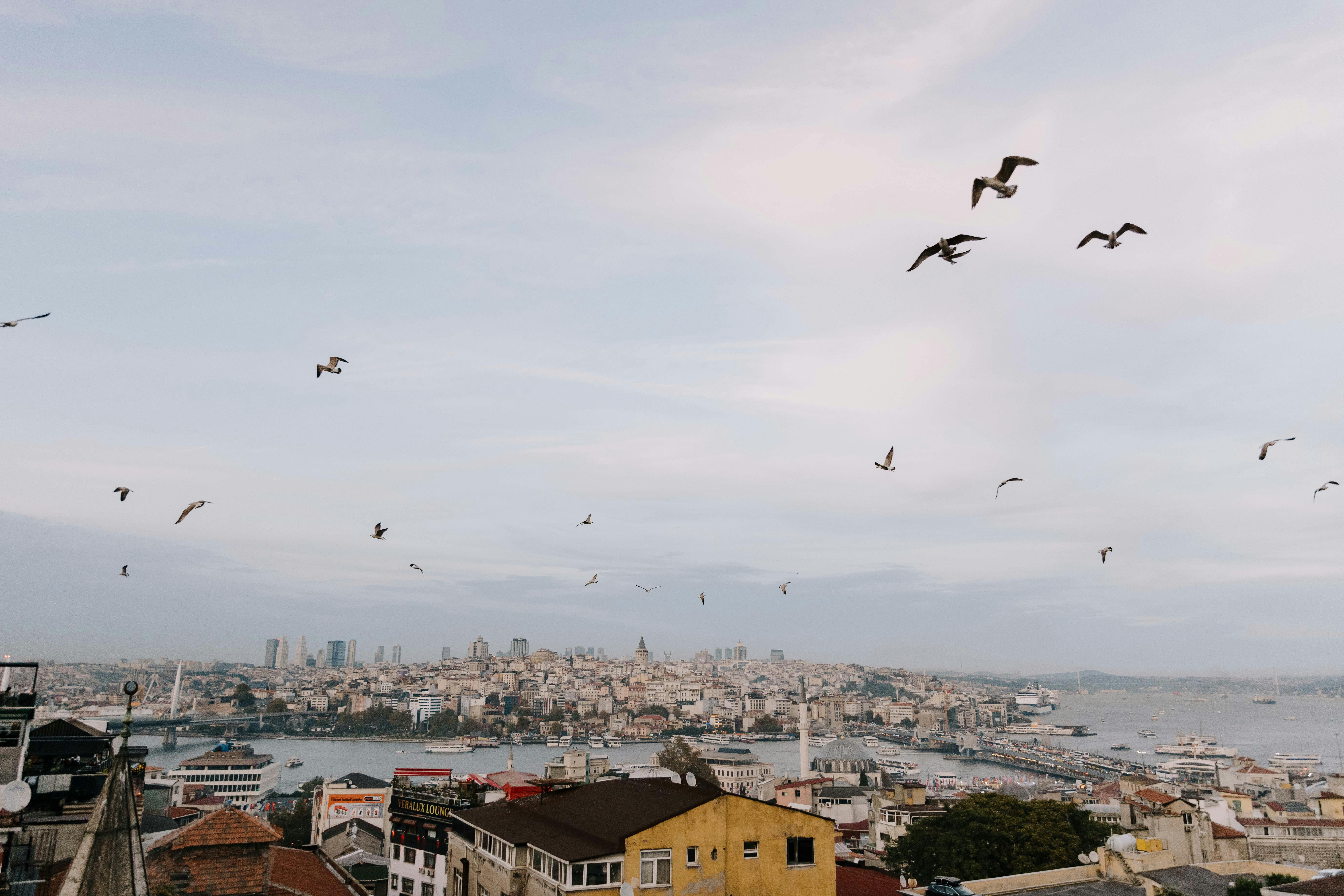 Ilmainen kuvapankkikuva tunnisteilla @outdoor, arkkitehtuuri, bosporin Kuvapankkikuva