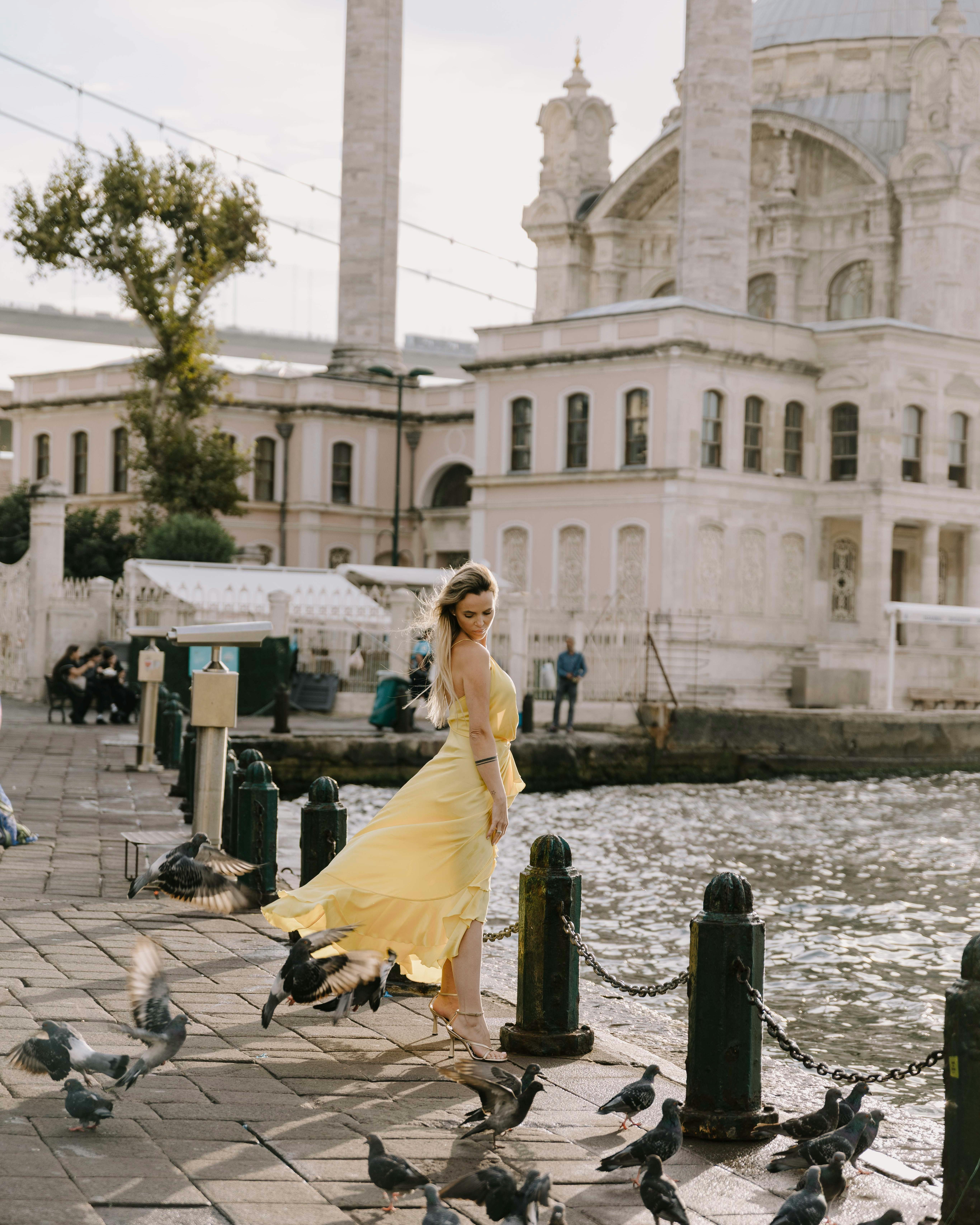 Ilmainen kuvapankkikuva tunnisteilla arkkitehtuuri, auringonpaiste, bosporin silta Kuvapankkikuva