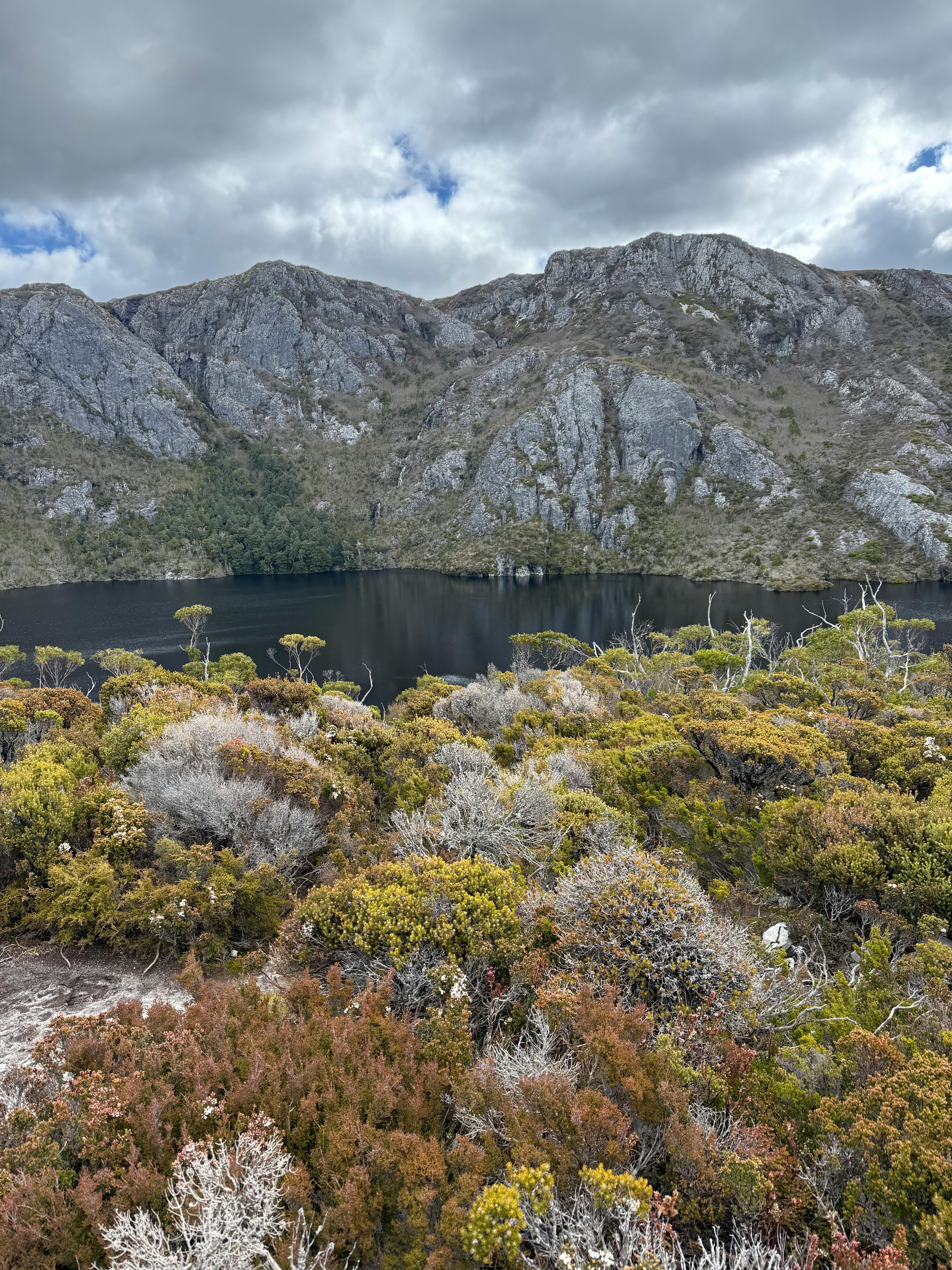 Gratis Vista mozzafiato sulla Cradle Mountain con vegetazione lussureggiante e acque tranquille. Foto a disposizione