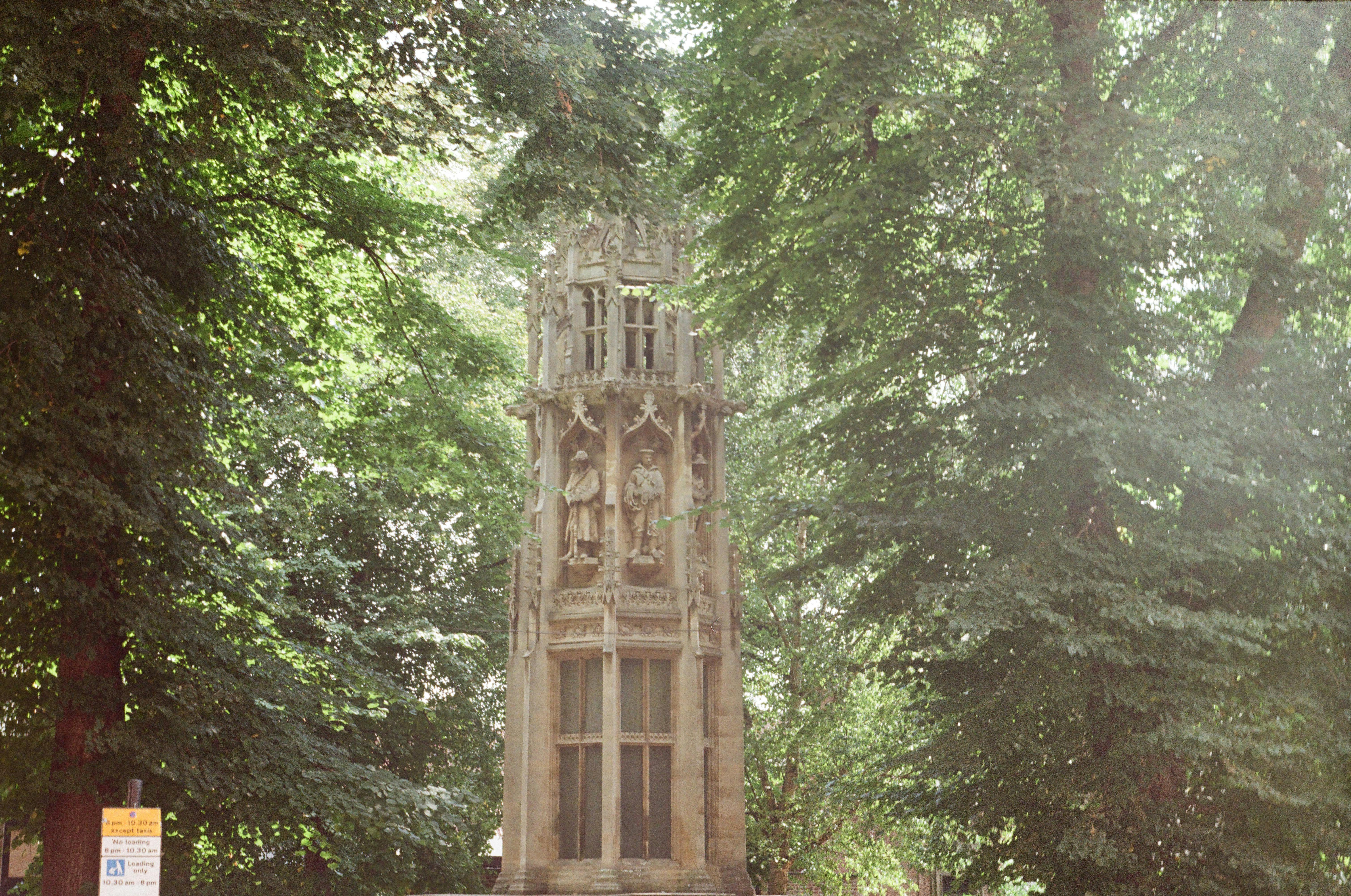 Gratis Un monumento gotico circondato da una fitta vegetazione verde in una giornata di sole. Foto a disposizione