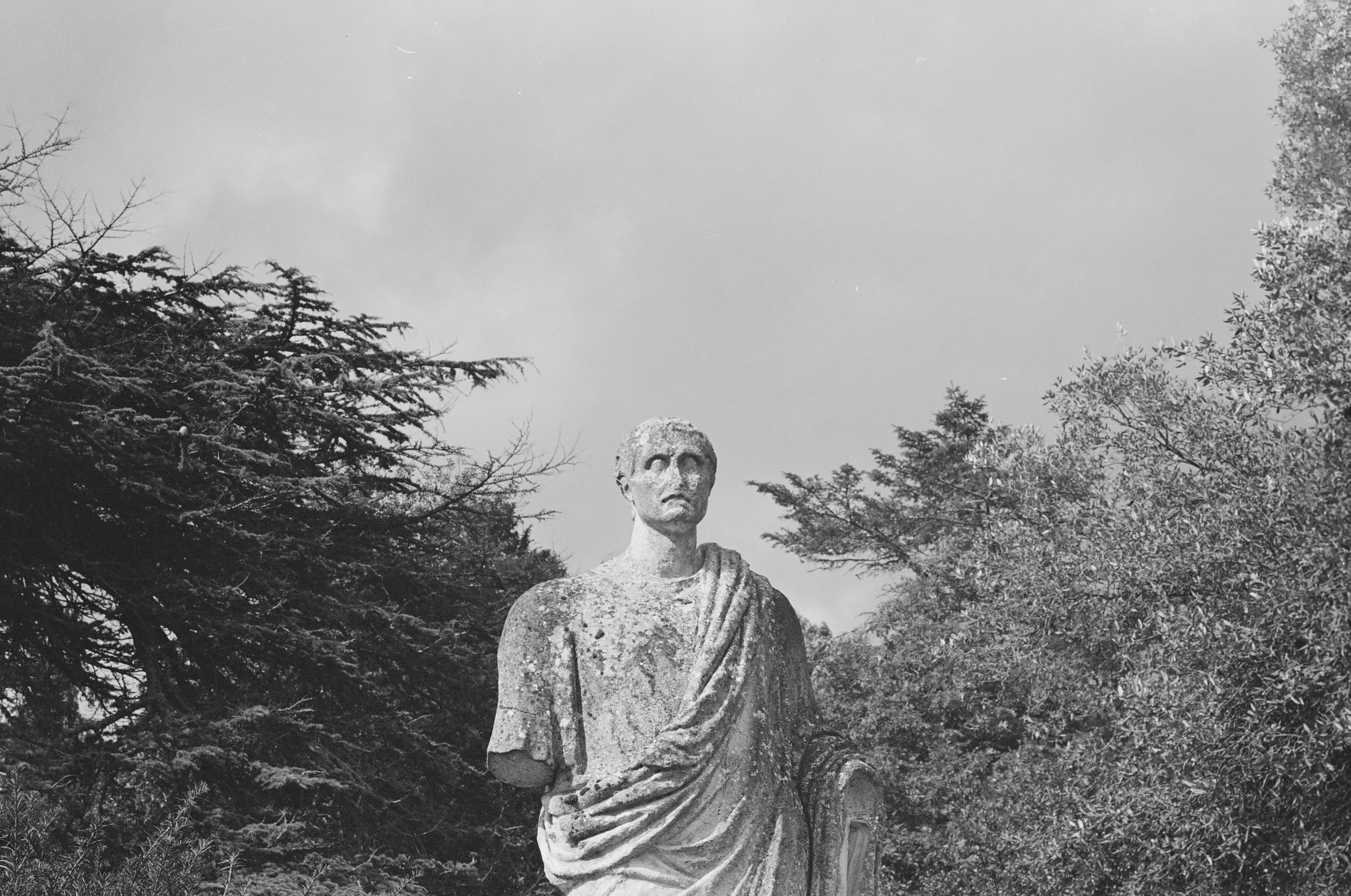 Ancient Roman Statue in Black and White · Free Stock Photo