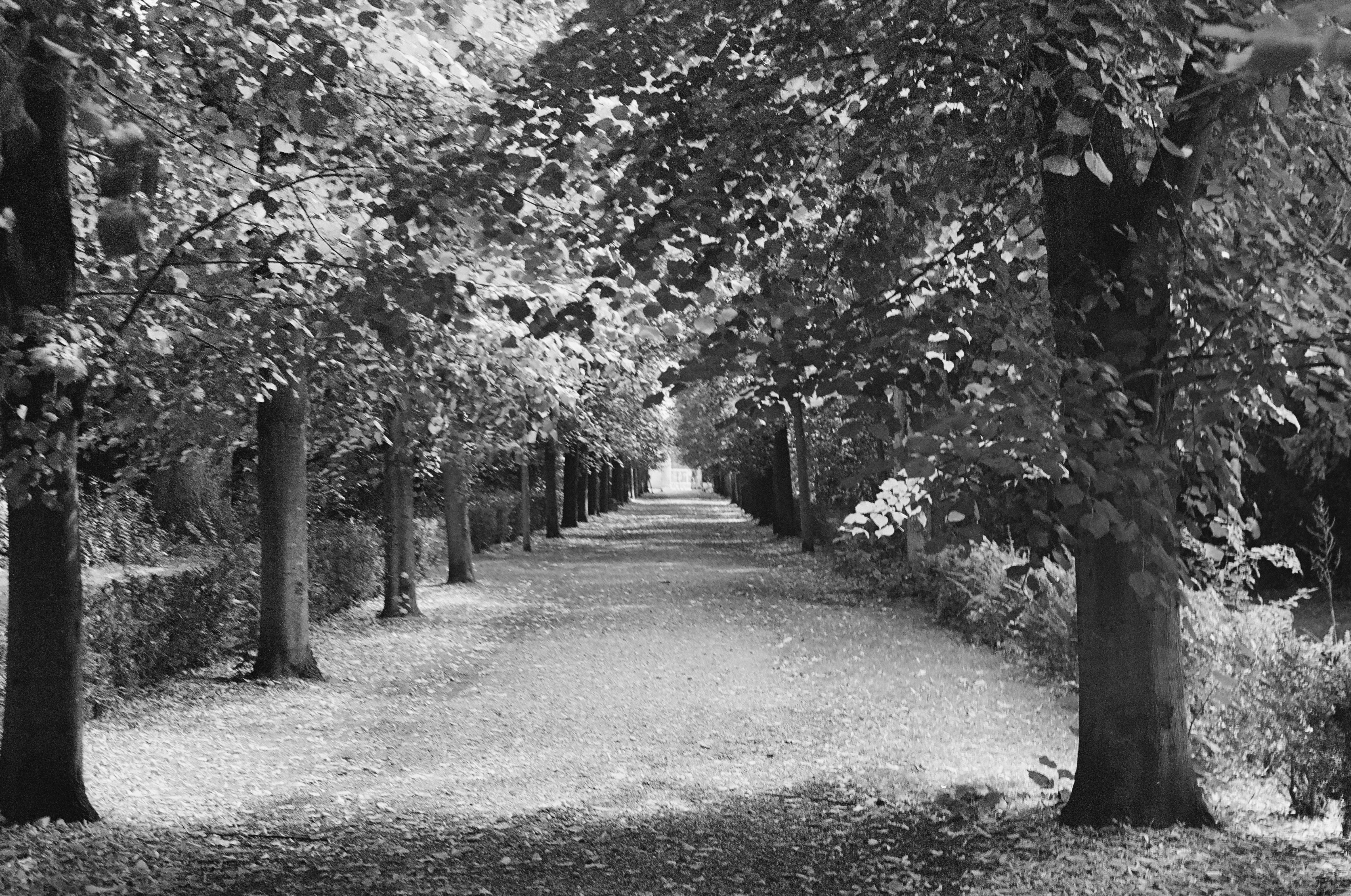 Healthspan White Paper: The Data-Driven Path to Longevity — Photo by Josh Nach on Pexels