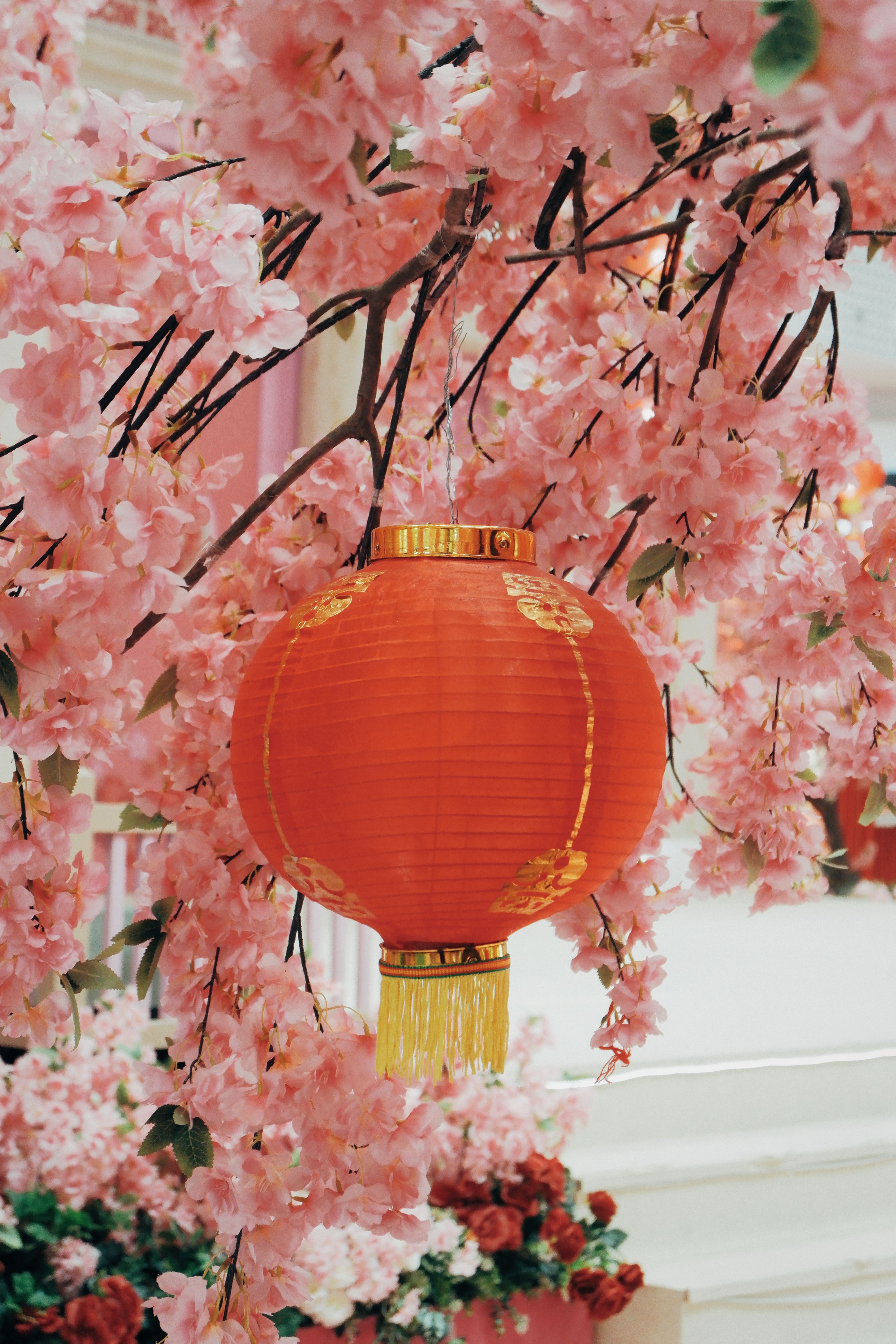 Red Chinese lantern hanging among vibrant pink cherry blossoms, symbolizing celebration and cultural heritage.