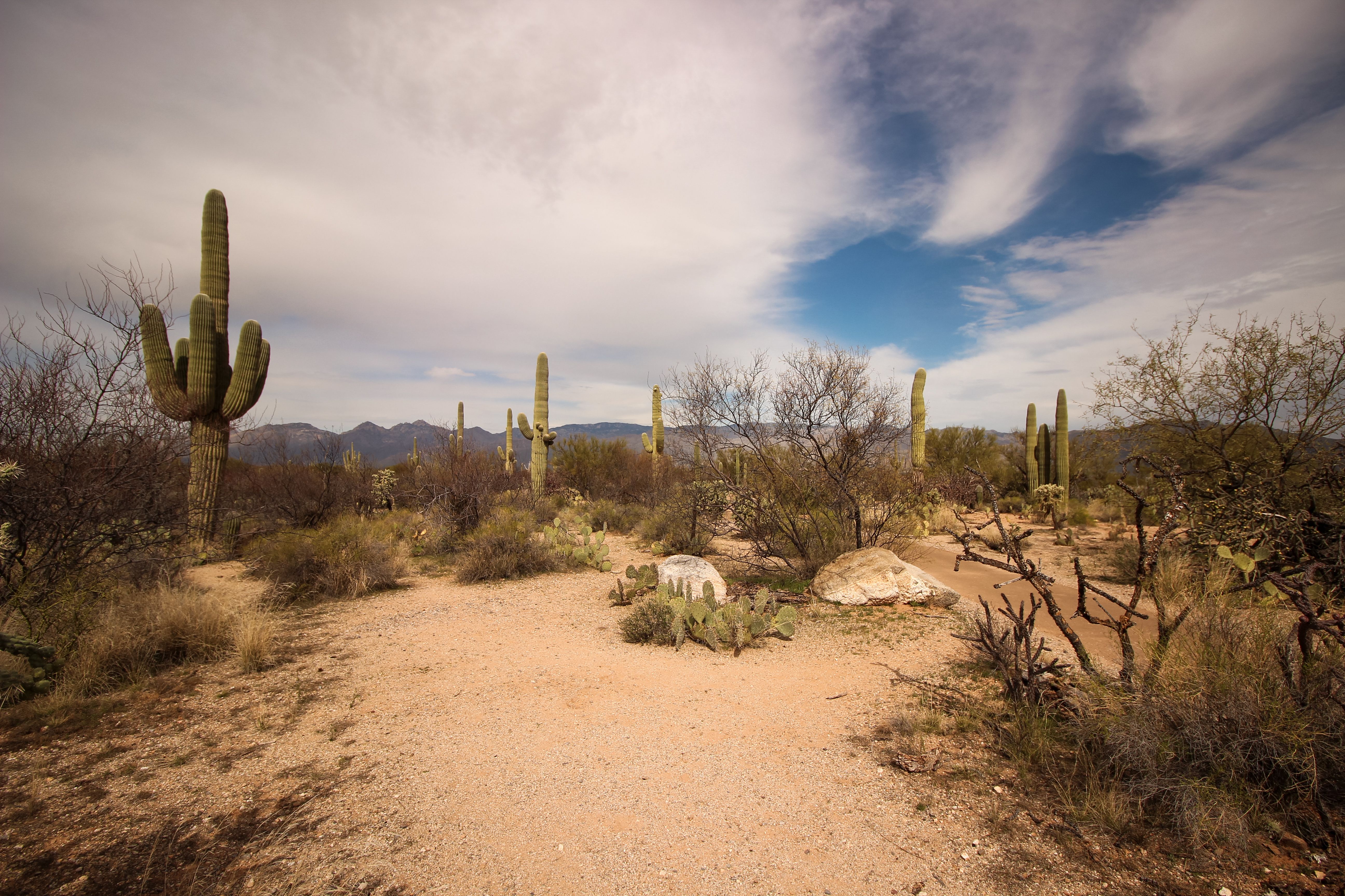 Best ATV Trails in Arizona