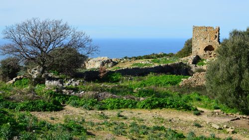 Free Scenic view of ancient ruins and Mediterranean Sea in Lumio, Corsica, France. Stock Photo