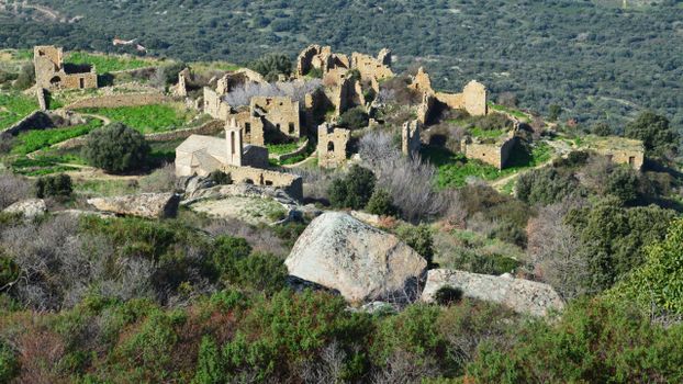 Ancient ruins amidst lush greenery in Lumio, Corse, offering a glimpse of history.