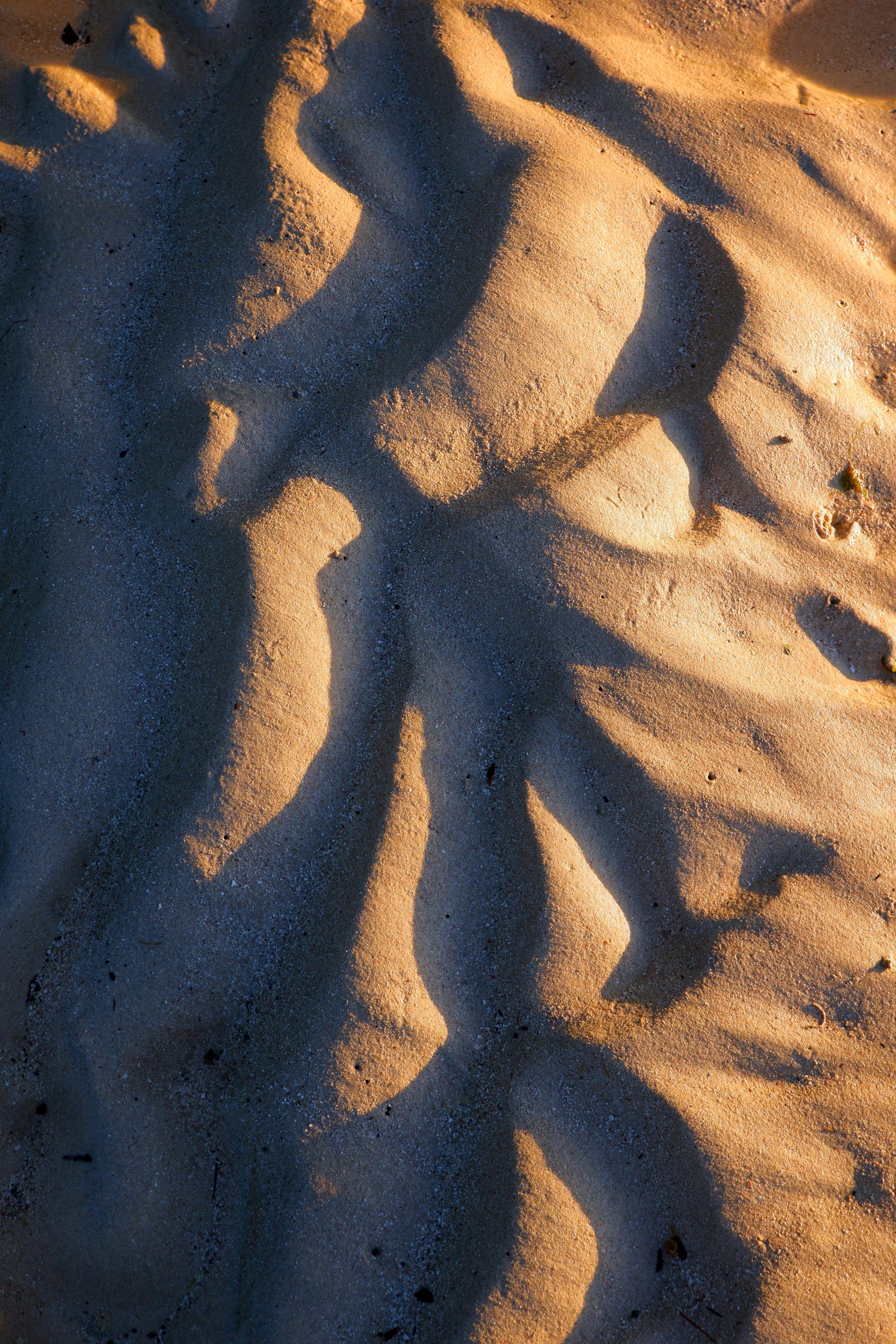 Wavy patterns on sand with dynamic light and shadow play.
