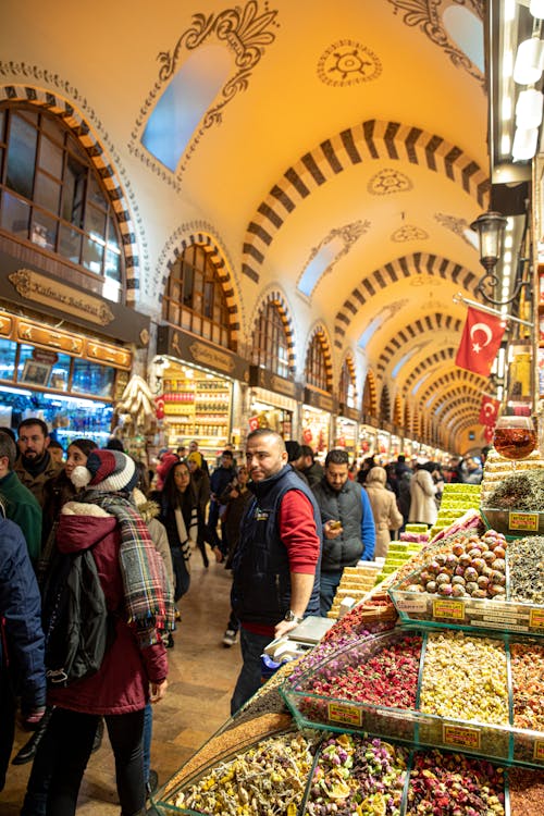 Fotobanka s bezplatnými fotkami na tému Istanbul, moriak