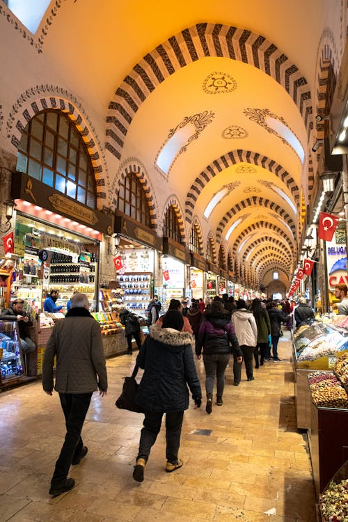 Fotobanka s bezplatnými fotkami na tému Istanbul, moriak