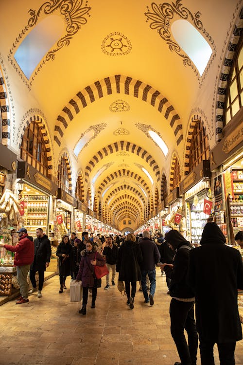 Fotobanka s bezplatnými fotkami na tému Istanbul, moriak