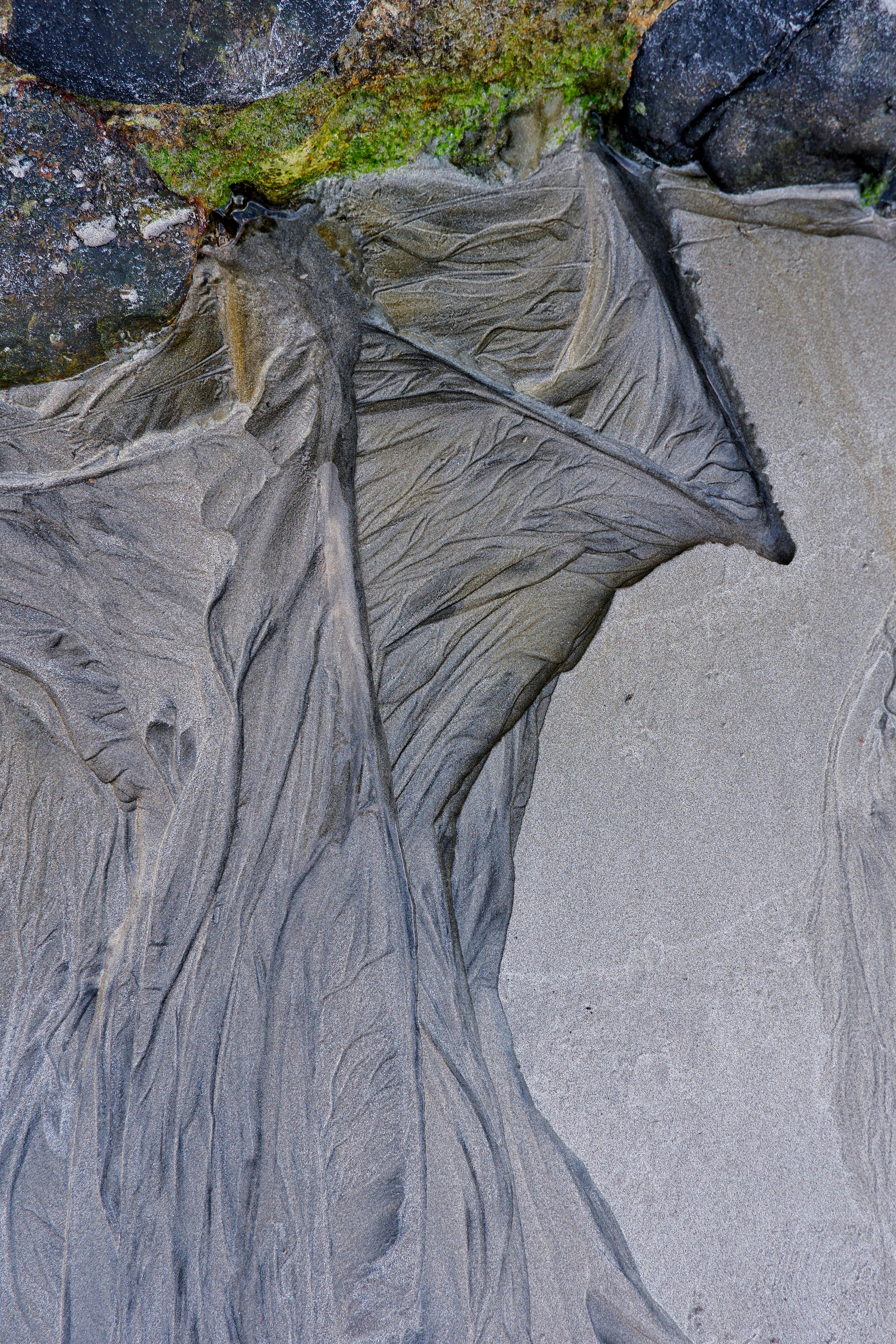 Gratis Texture artistica di sabbia e roccia su una spiaggia che offre motivi astratti naturali. Foto a disposizione