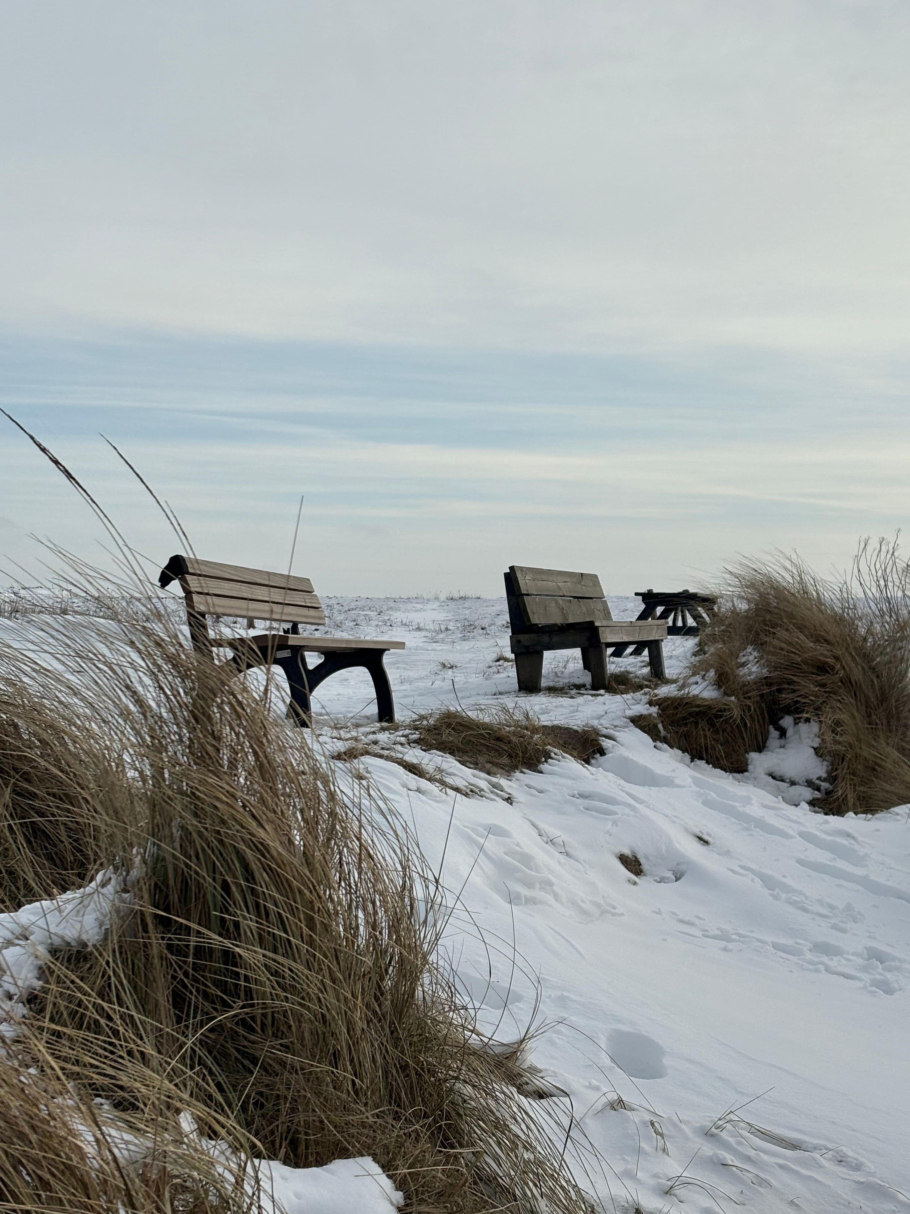 Scenic winter view of empty benches overlooking snow-covered dunes.