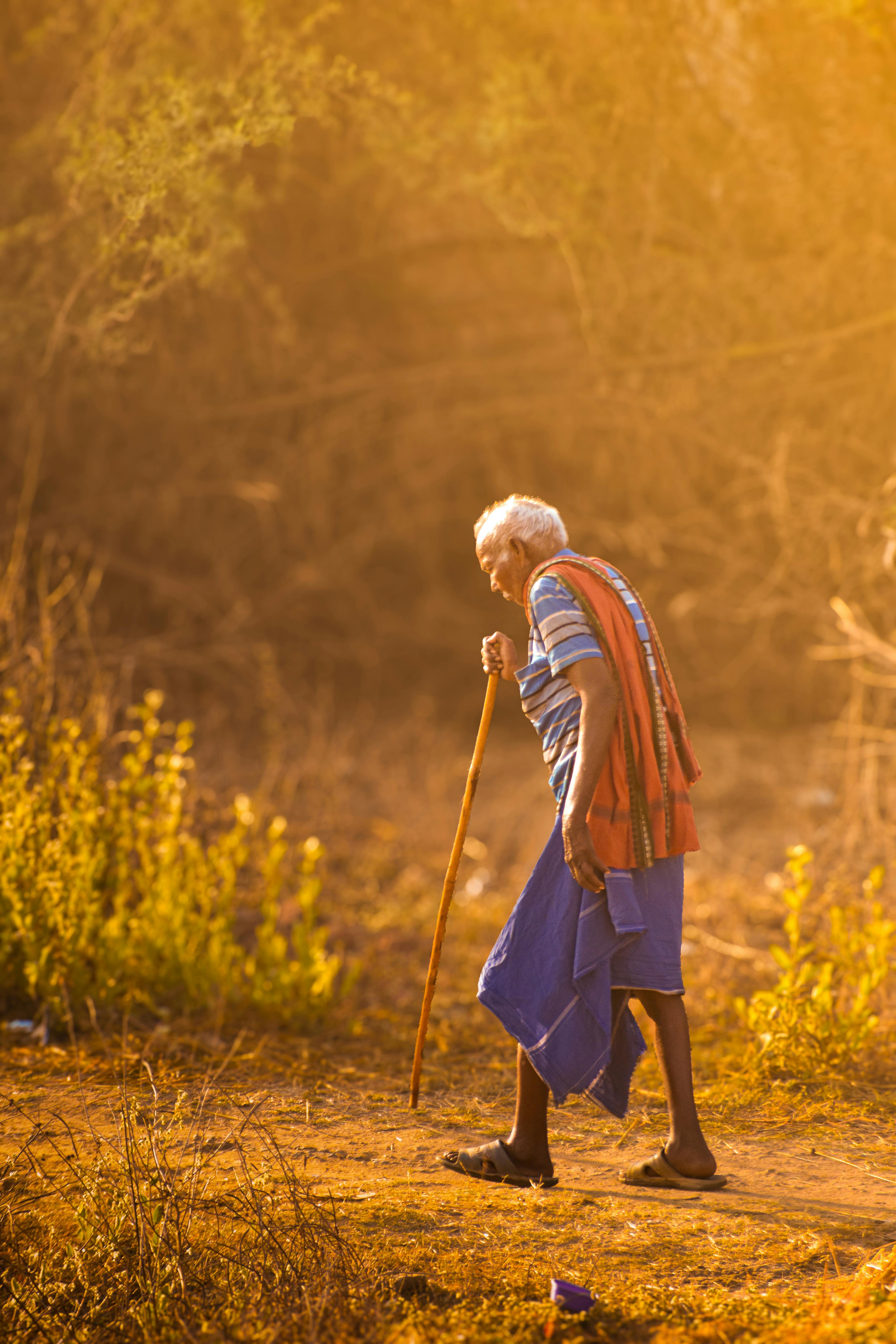 Ilmainen Iäkäs mies kävelee kävelykeppi kädessään auringon valaisemaa maaseudun polkua pitkin luonnon ympäröimänä. Kuvapankkikuva
