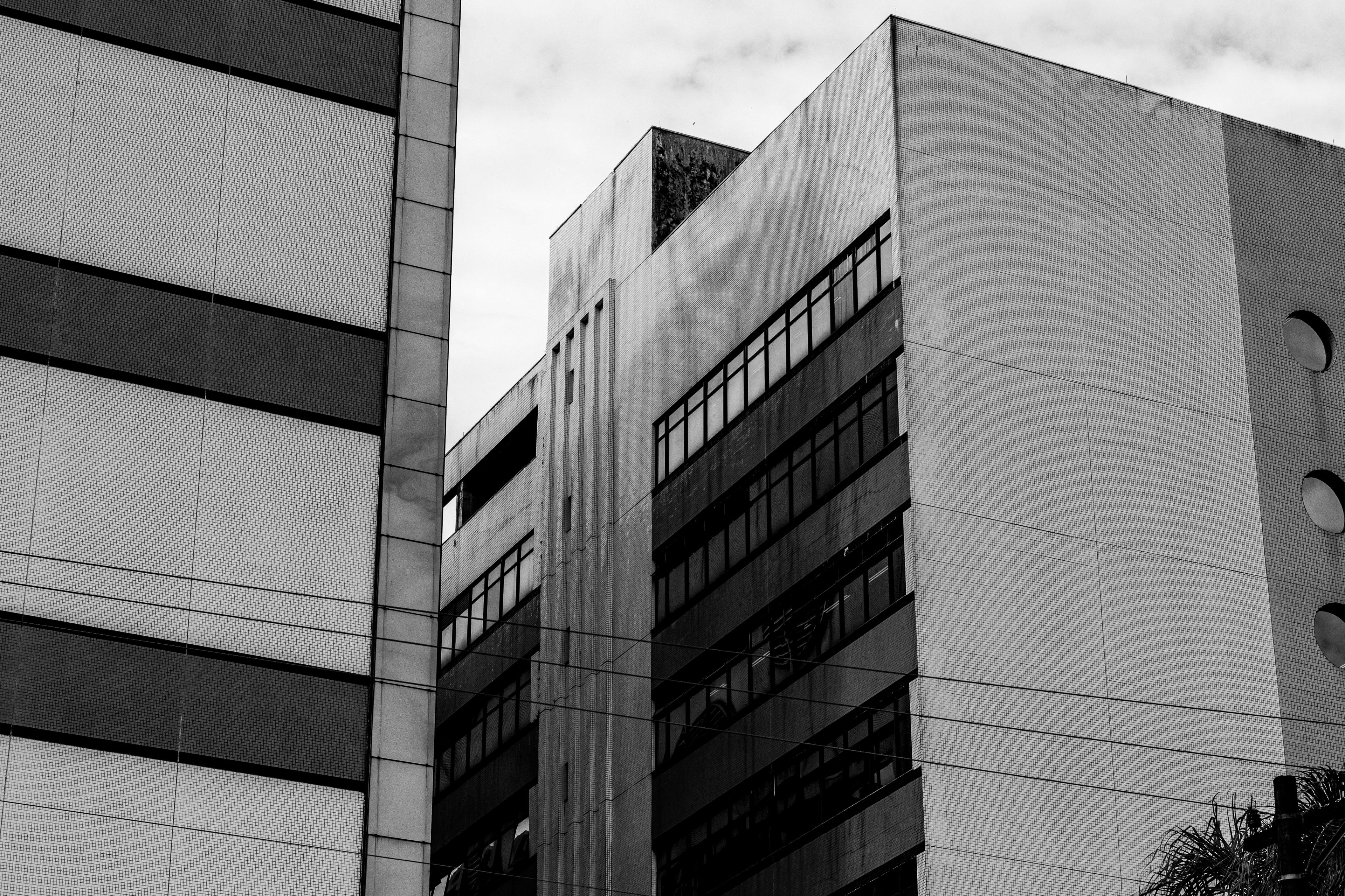 gratis Zwart-witfoto van moderne, geometrische stadsgebouwen met de nadruk op ramen en gevels. Stockfoto