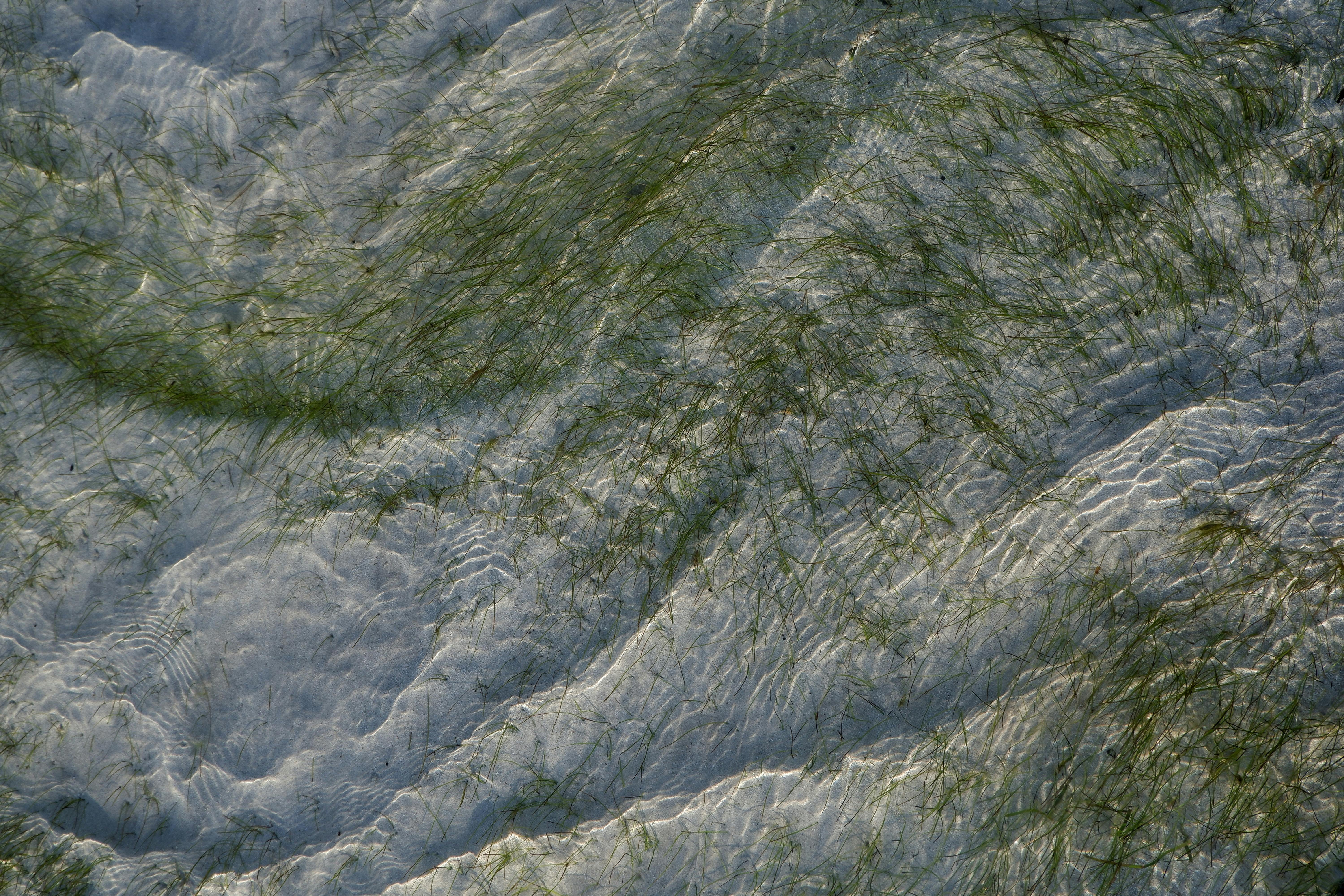 Gratis Immagine gratuita di acqua cristallina, acqua dolce, acqua trasparente Foto a disposizione