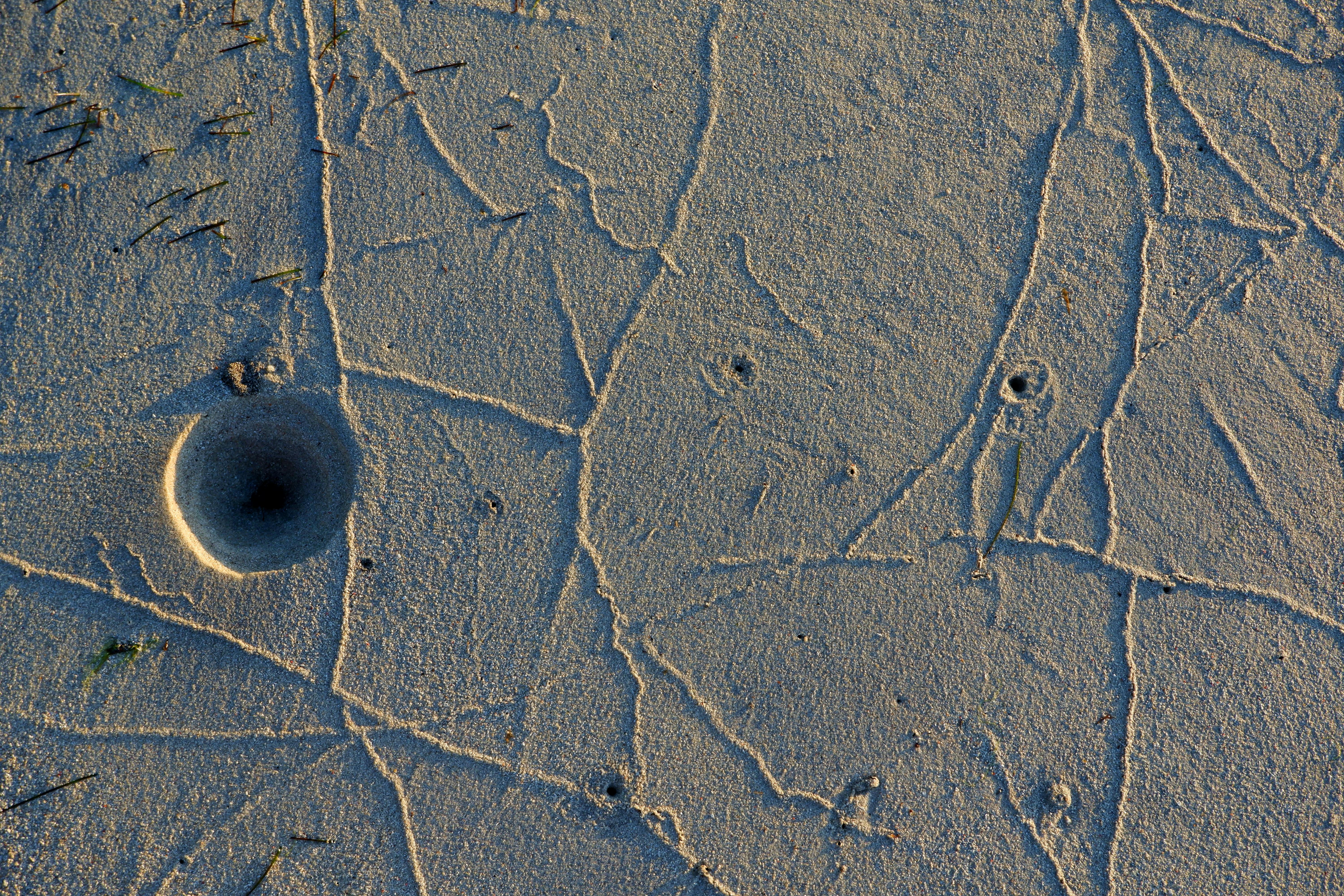 Miễn phí Chi tiết về kết cấu của cát với dấu vết của cua và hang, ghi lại các hoa văn tự nhiên trên bề mặt bãi biển. Ảnh lưu trữ