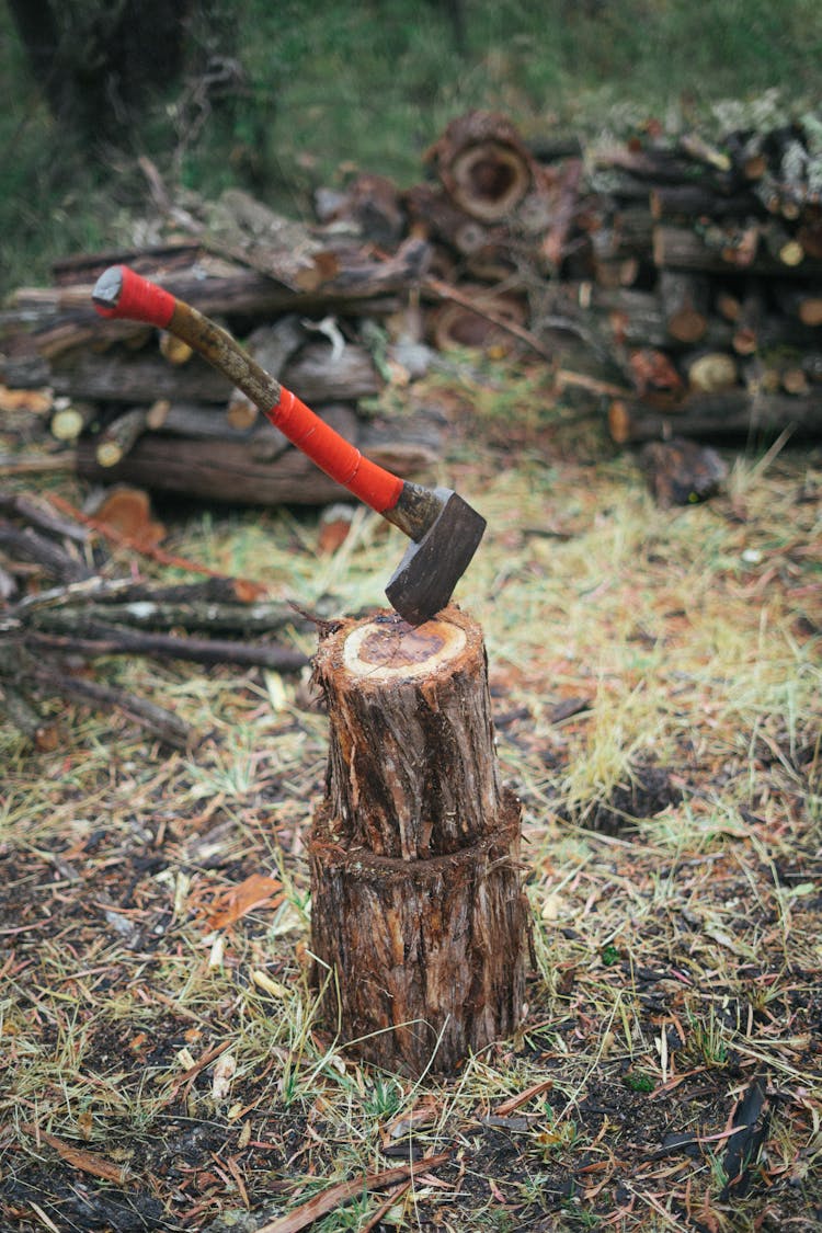 Photo Of Axe On Wooden Log