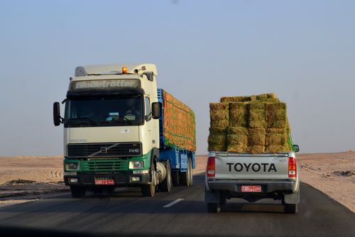 Free Trucks carrying hay bales on a highway in the Dhofar desert, Oman. Stock Photo