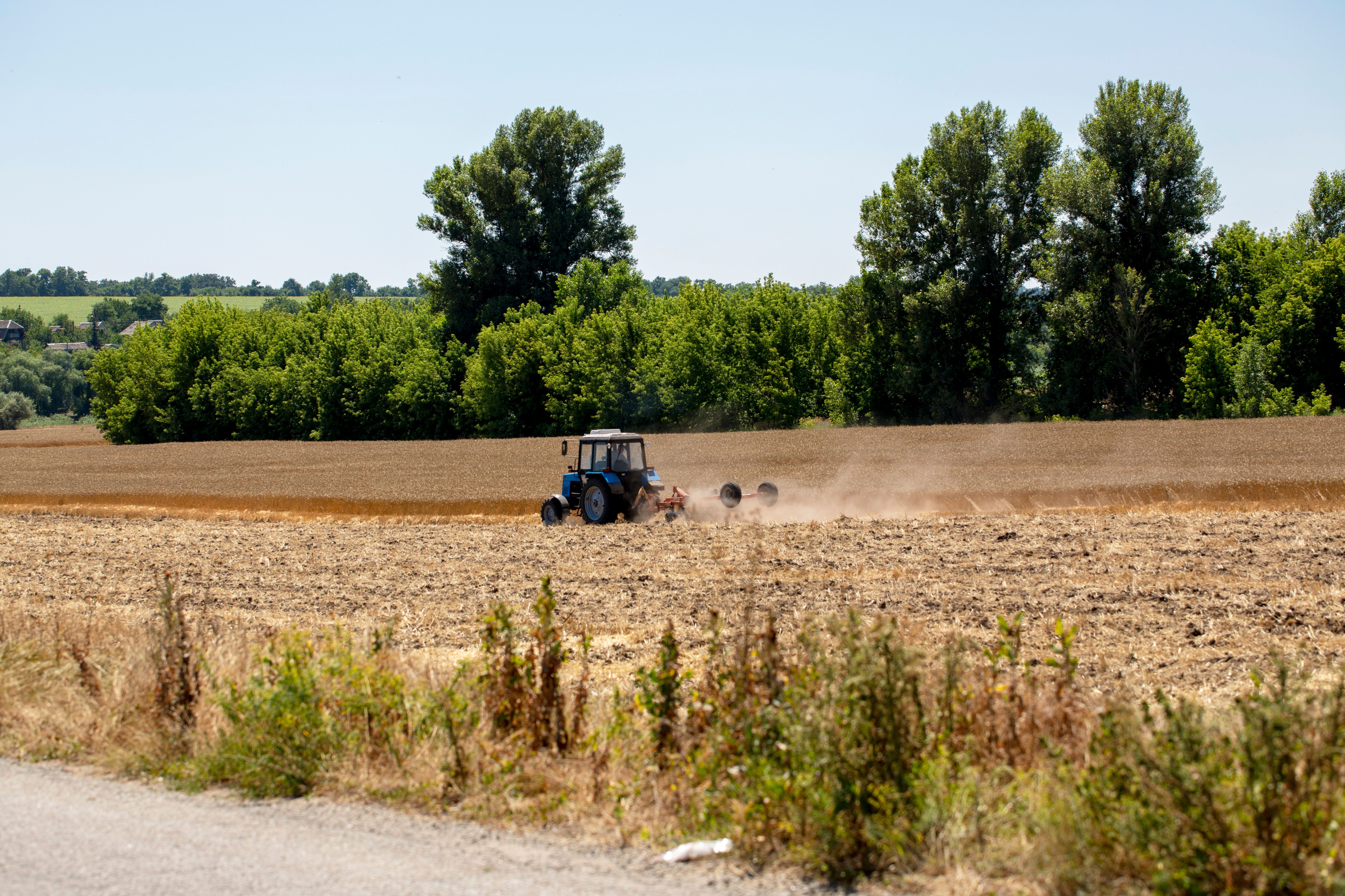 Ukrainian Agriculture as Strategy, Diplomacy, and Legacy