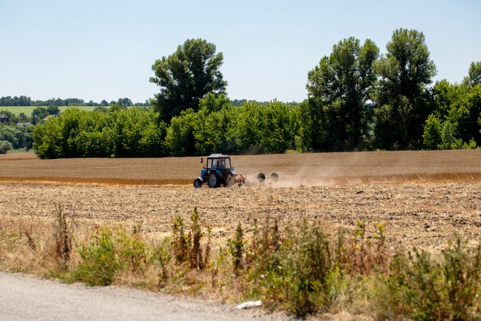 Ukrainian Agriculture as Strategy, Diplomacy, and Legacy