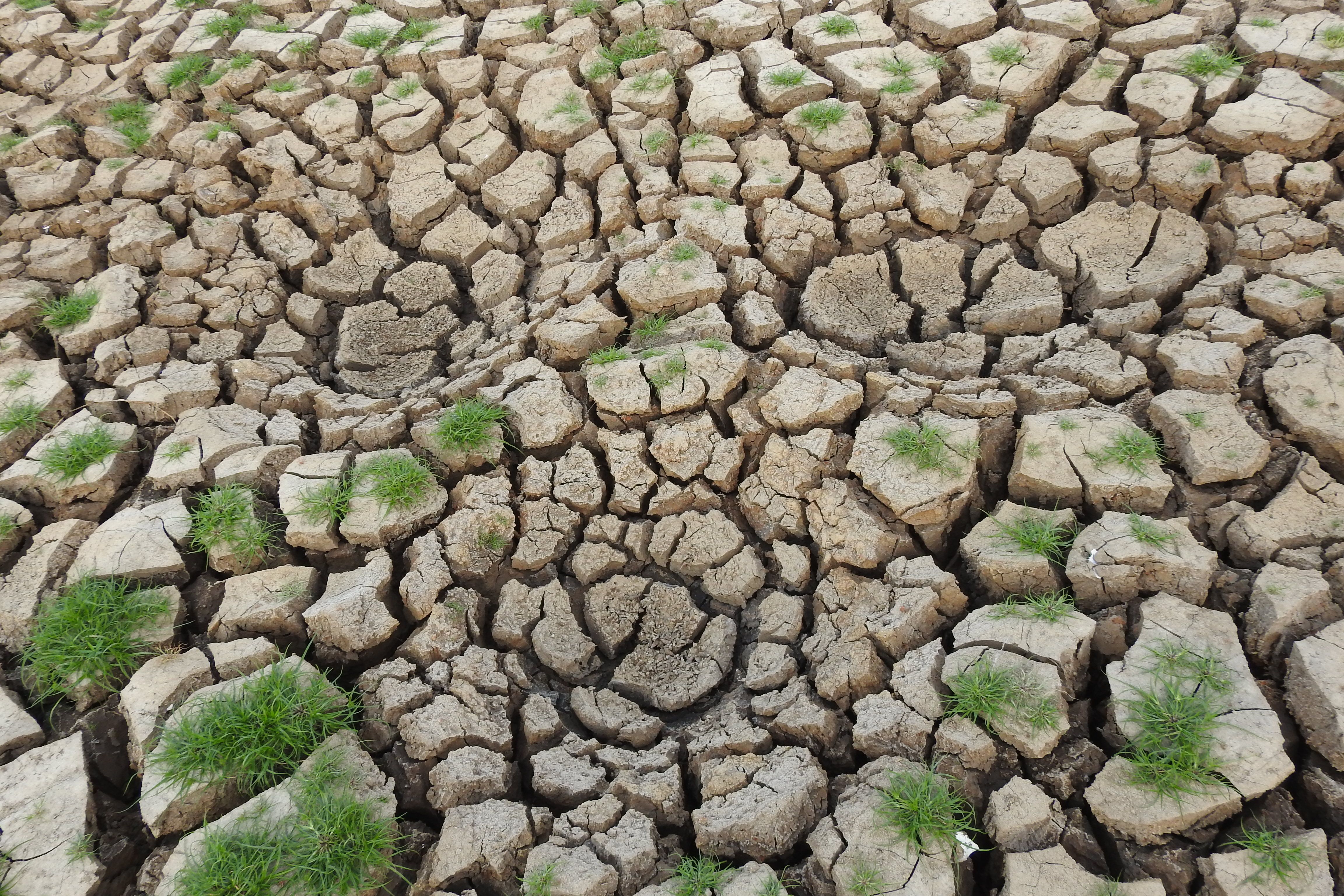 Photo by Andrei Simon Amisi on Pexels