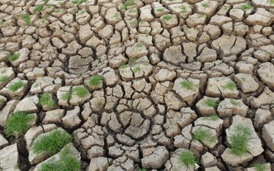 Liên Hợp Quốc cảnh báo El Niño 'siêu kích thước' khi các quốc gia chuẩn bị ứng phó