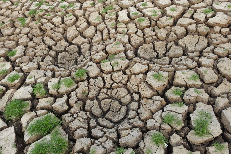 Synthetic Biology for Enhanced Carbon Fixation