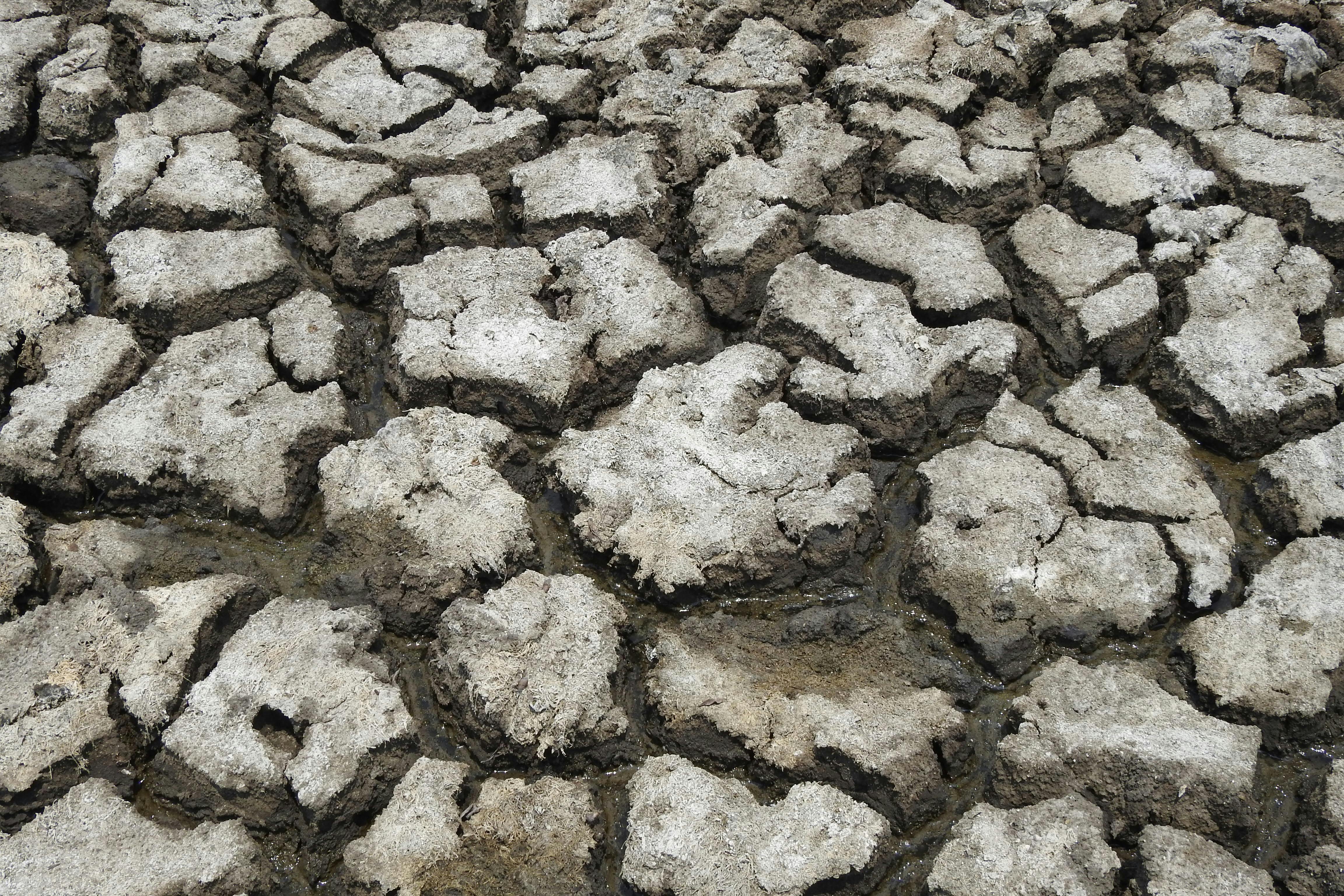 Weather and Global Warming