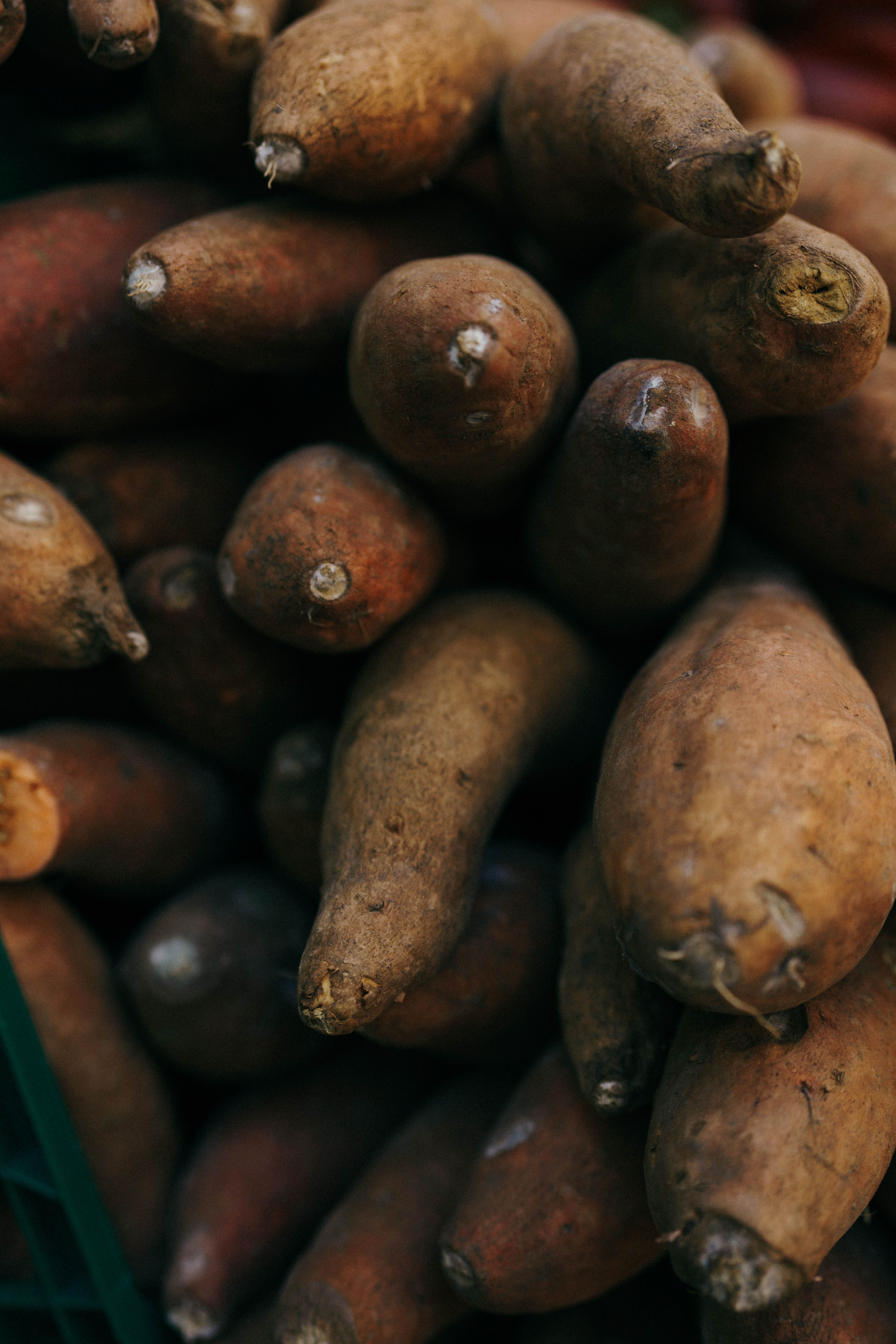 Porta le patate a pezzi che abbiamo comprato le anguille al Mercato!