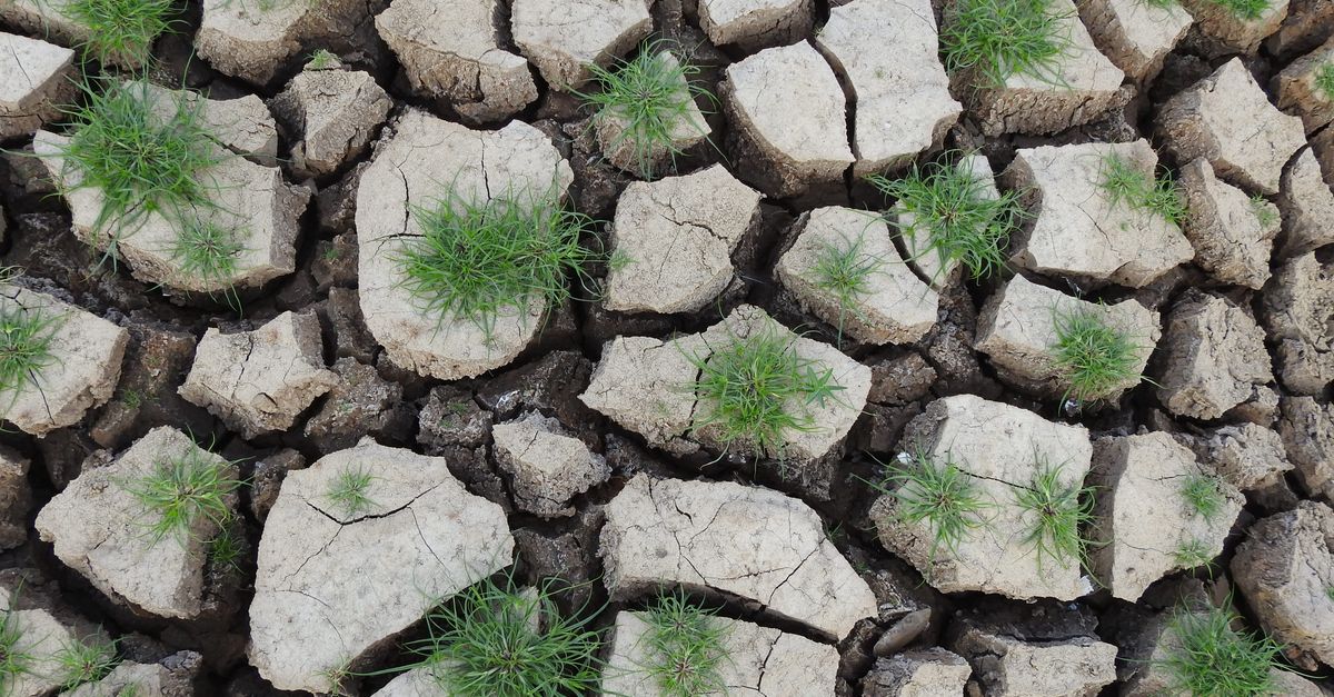 Implementing Resilience Patterns for Robust Distributed Systems