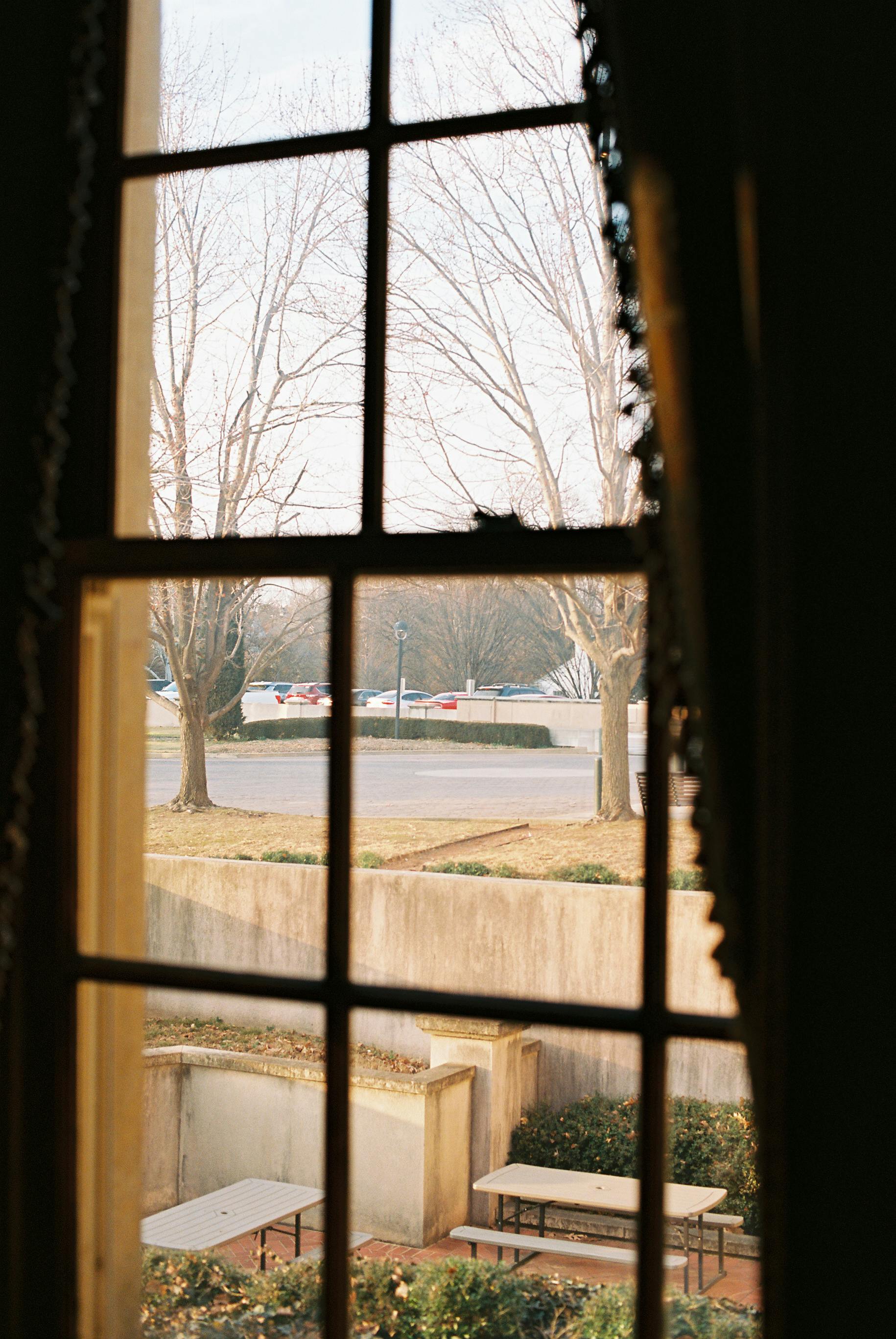 Miễn phí Một khung cảnh thanh bình nhìn qua cửa sổ, cho thấy những hàng cây trơ trụi và những chiếc ghế dài bên ngoài vào mùa đông. Ảnh lưu trữ