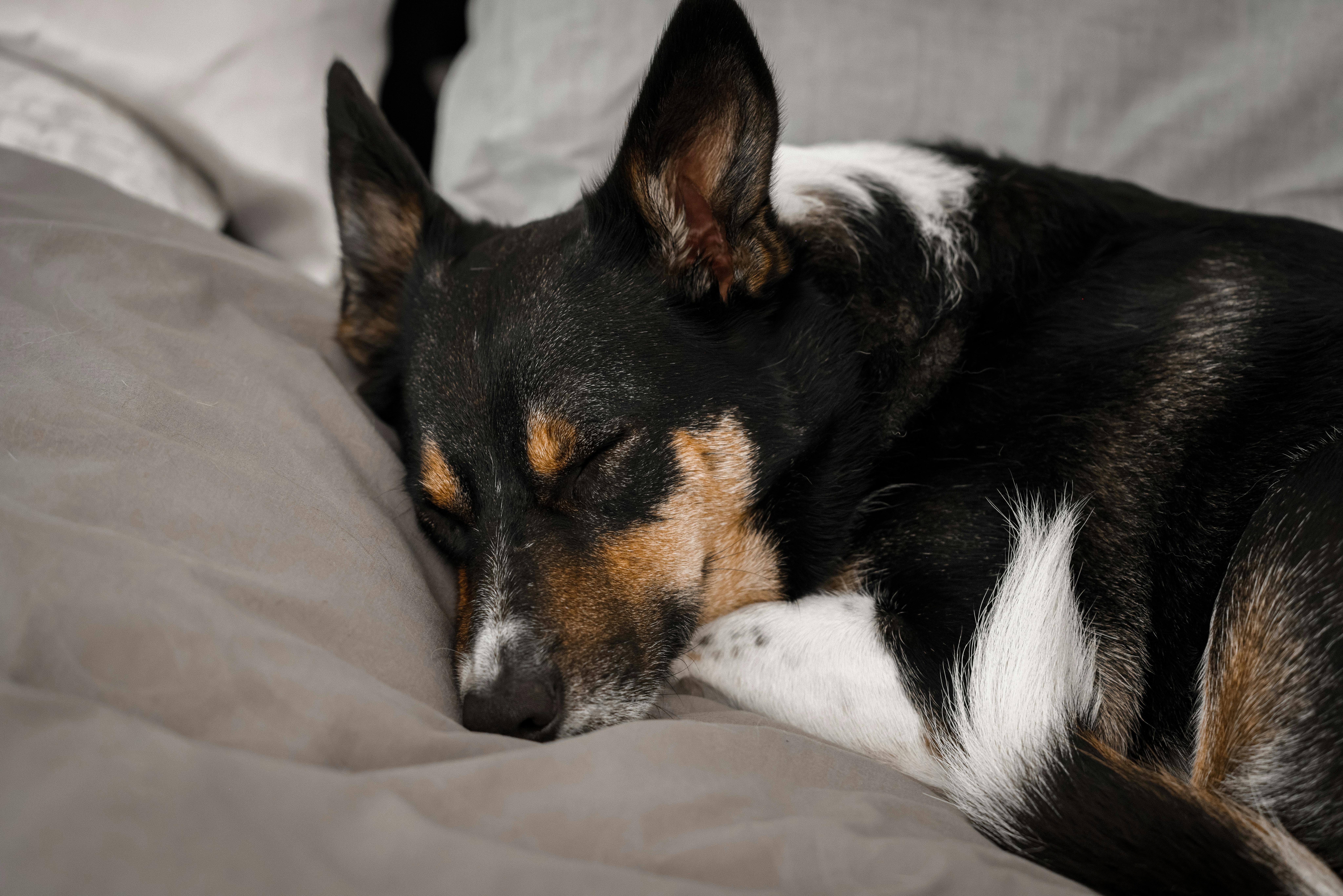 Gratis Immagine gratuita di #interno, a riposo, accogliente Foto a disposizione